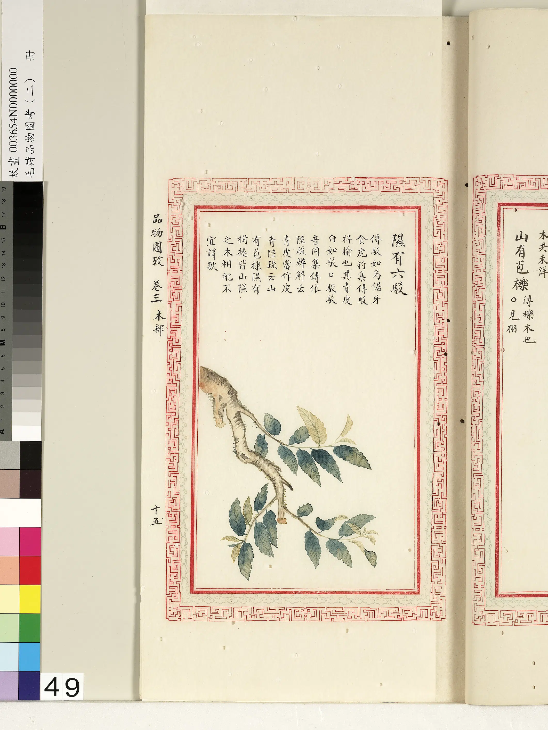 清朝【佚名】《毛诗品物图考（二）册-隰有六驳-1》