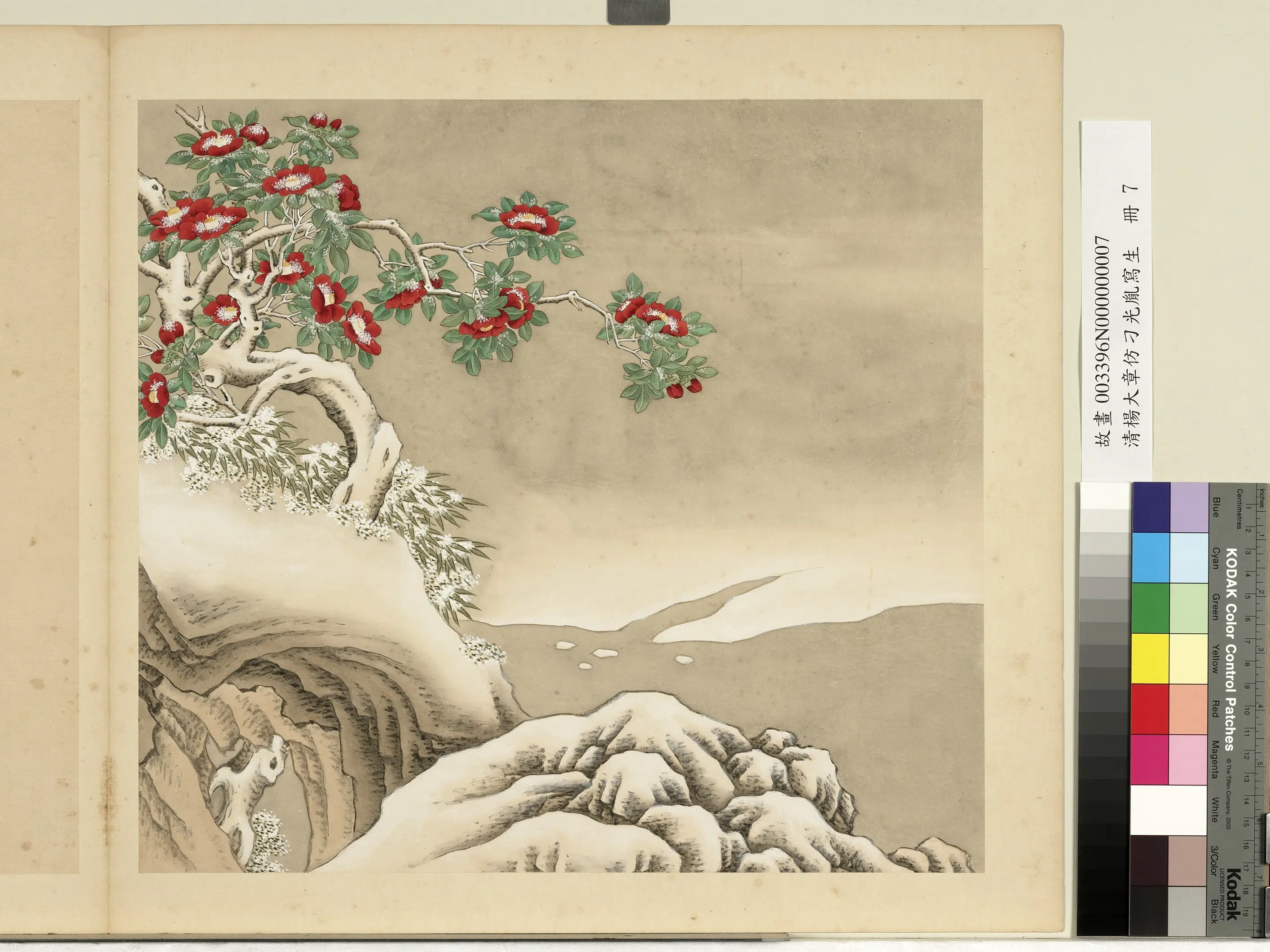 清代【杨大章】《仿刁光胤写生册》 第10张