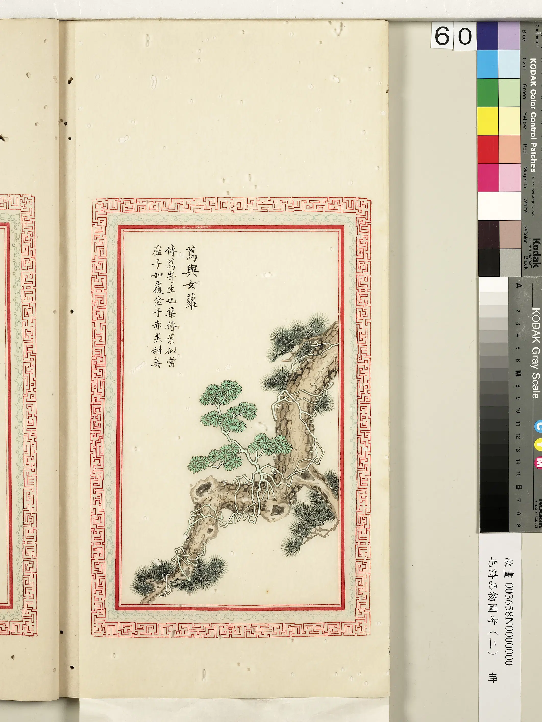 清代《毛诗品物图考（二）册-2》 第44张