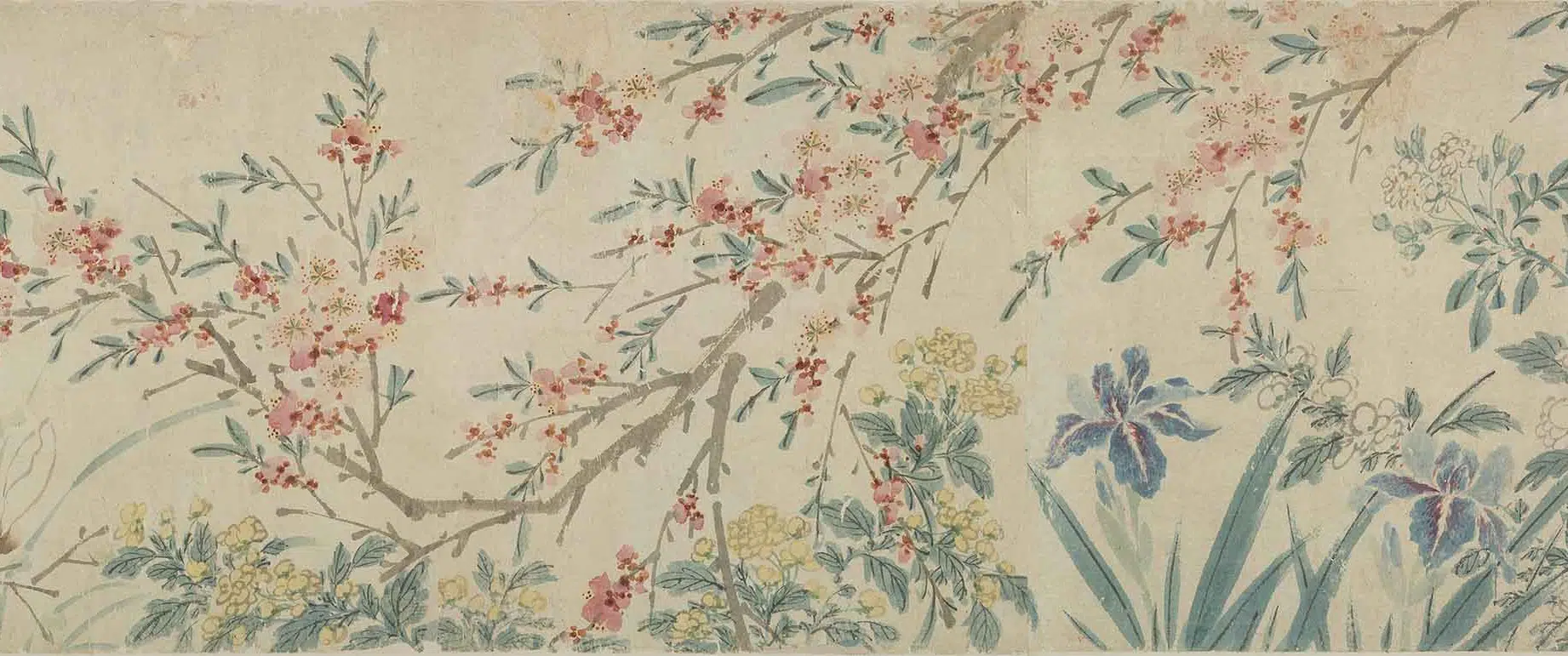 明朝【陈淳（道复）】《四季花卉卷》 第7张
