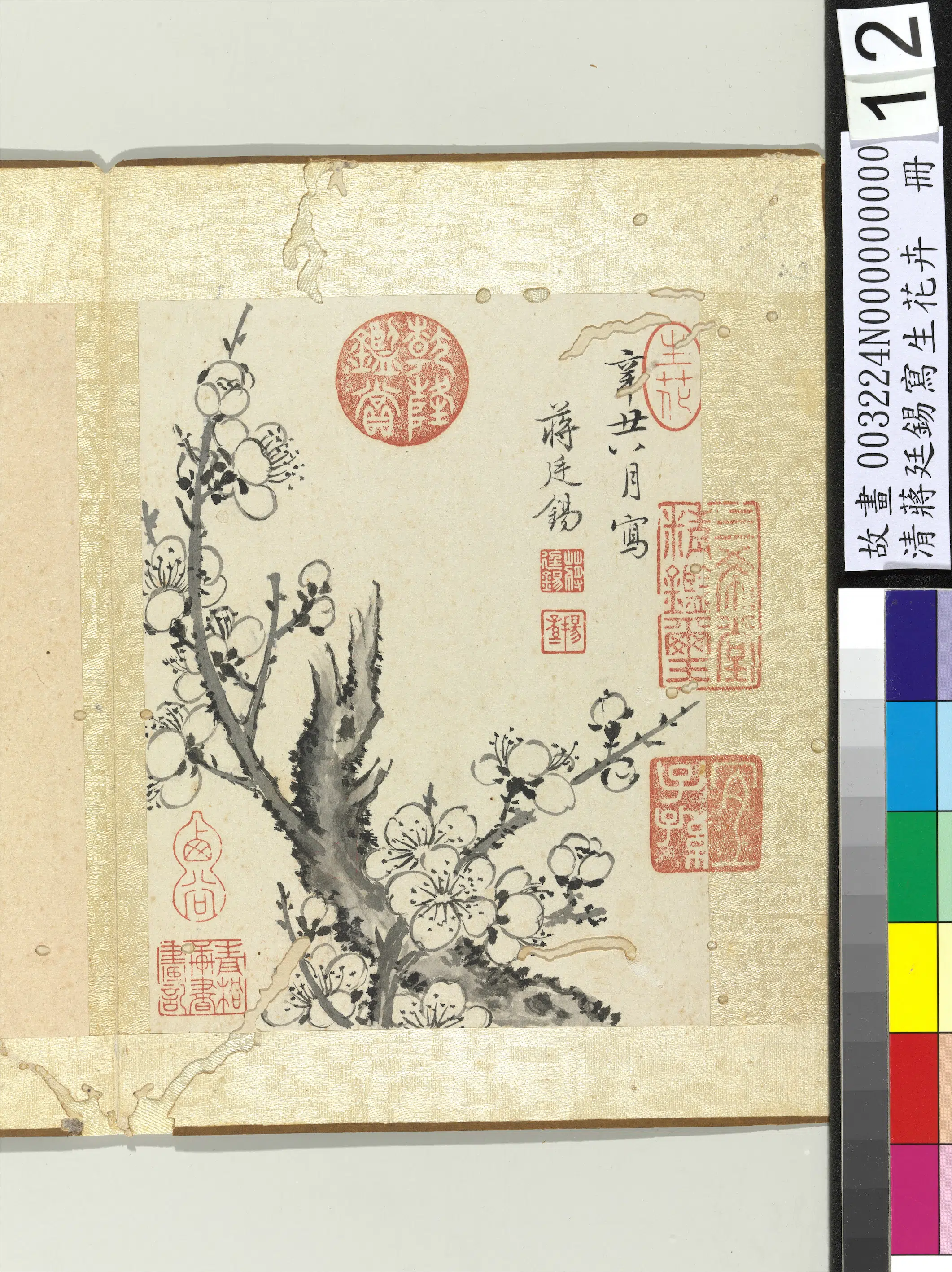 清代【蒋廷锡】《写生花卉册》 第5张