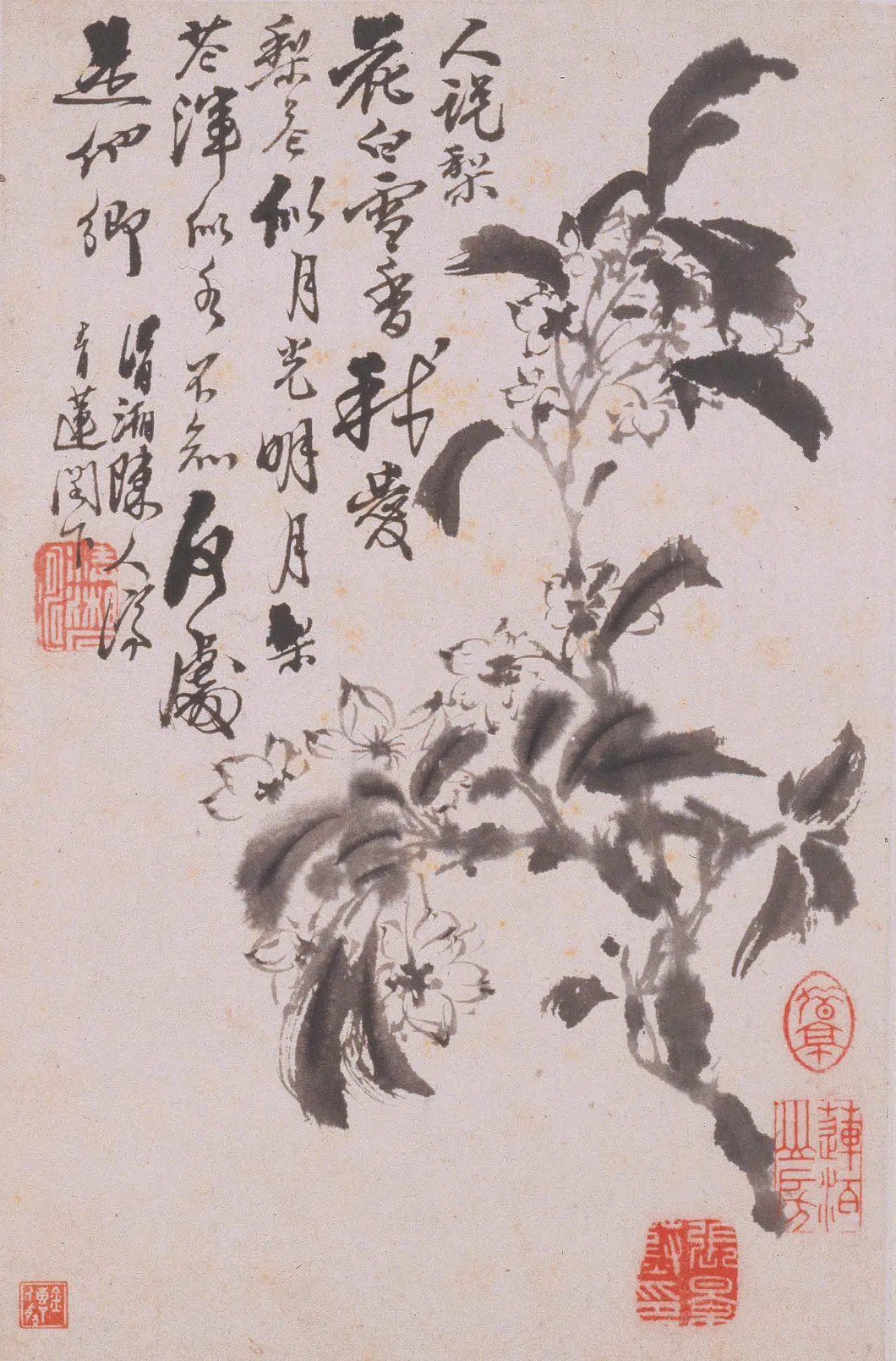 清代【石涛】《花卉册》 第12张 清代【石涛】《花卉册》 第12张