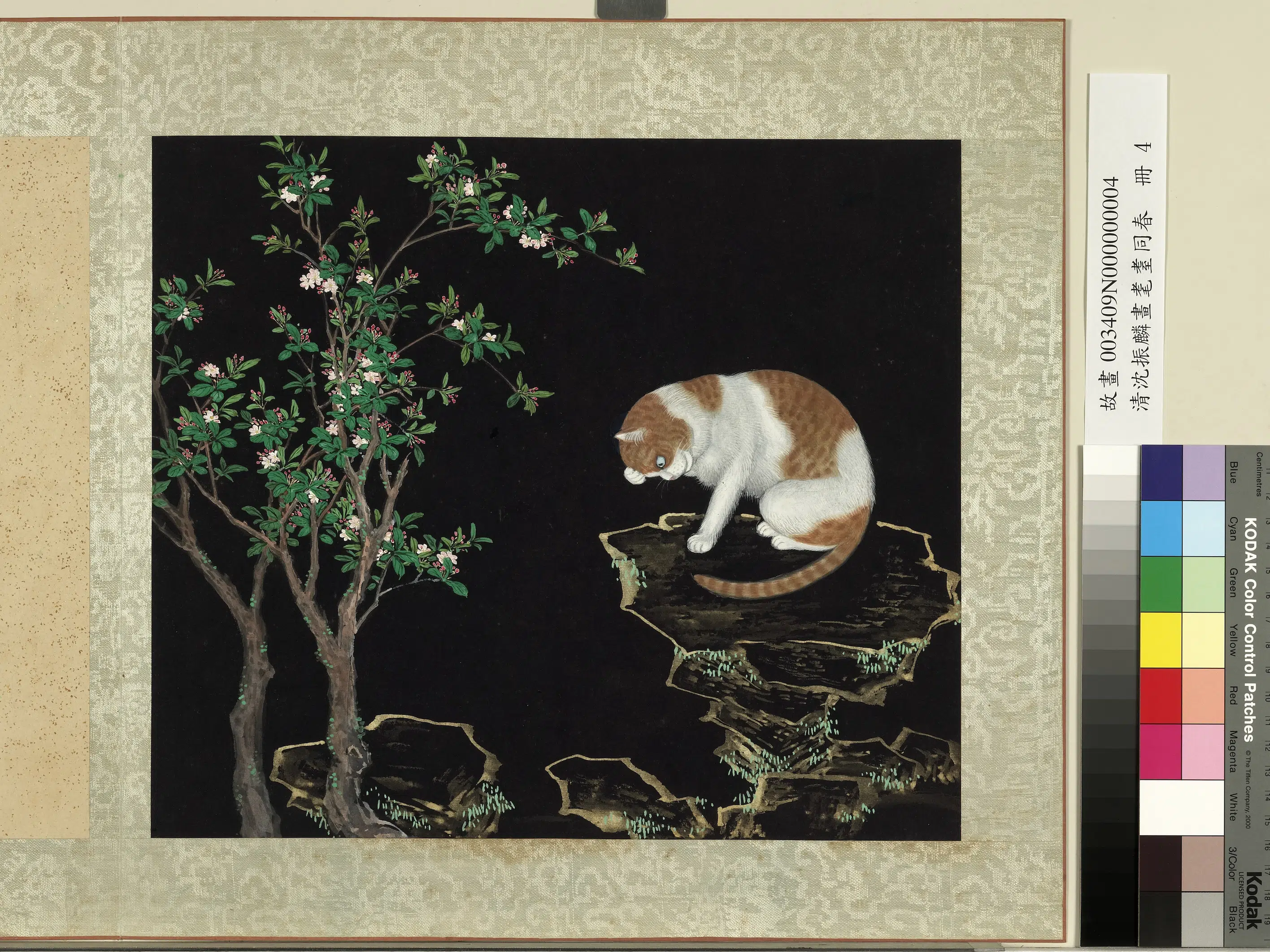 清朝【沈振麟】《画耄耋同春册_海棠狸奴》
