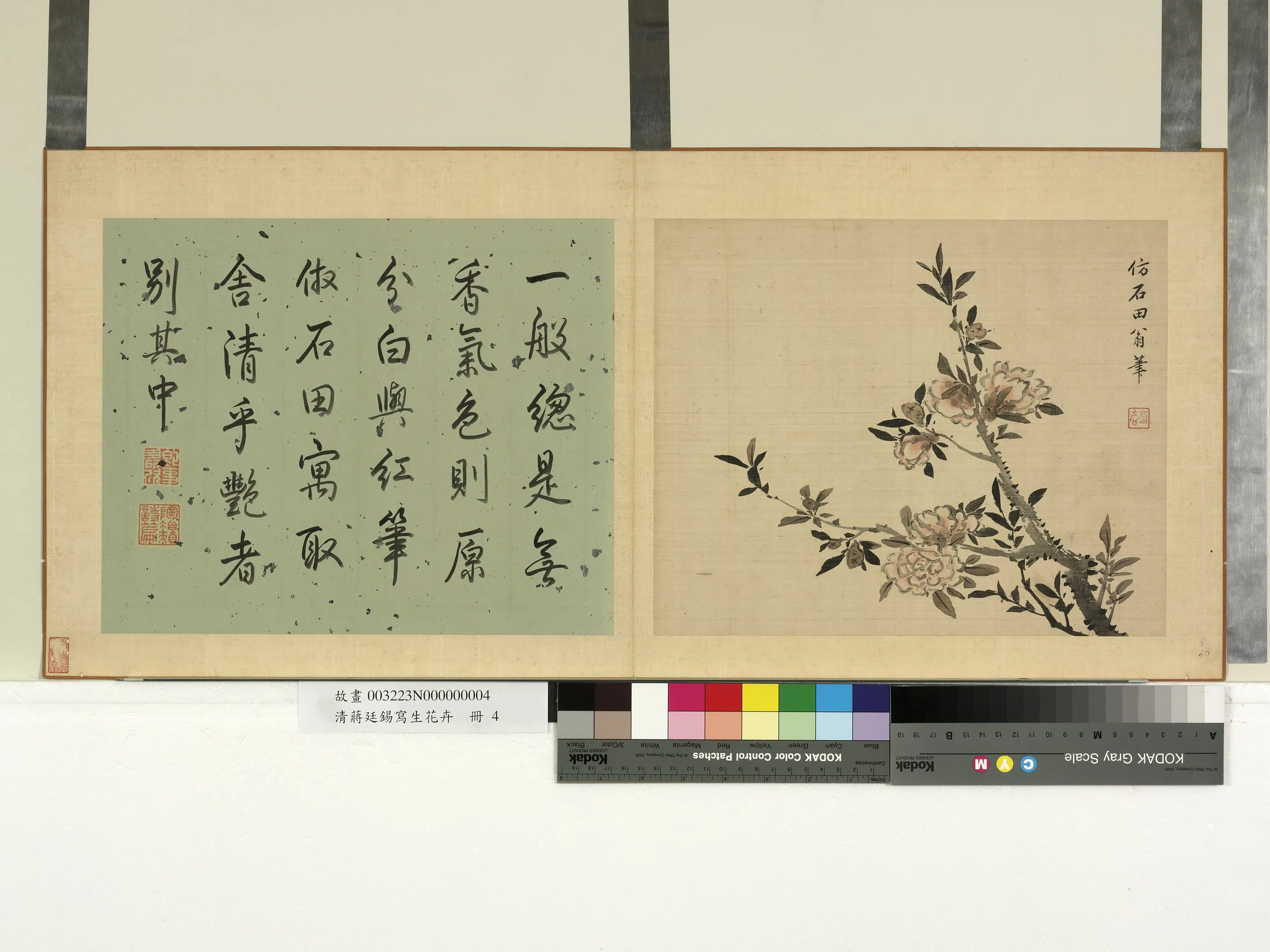 清代【蒋廷锡】《写生花卉册》 第5张