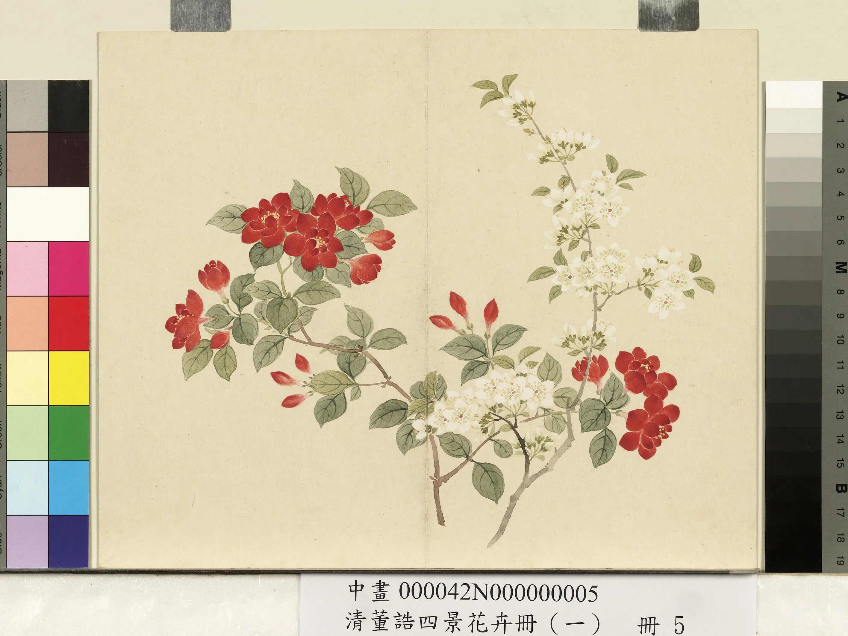 清代【董诰】《四景花卉（一）册》 第6张