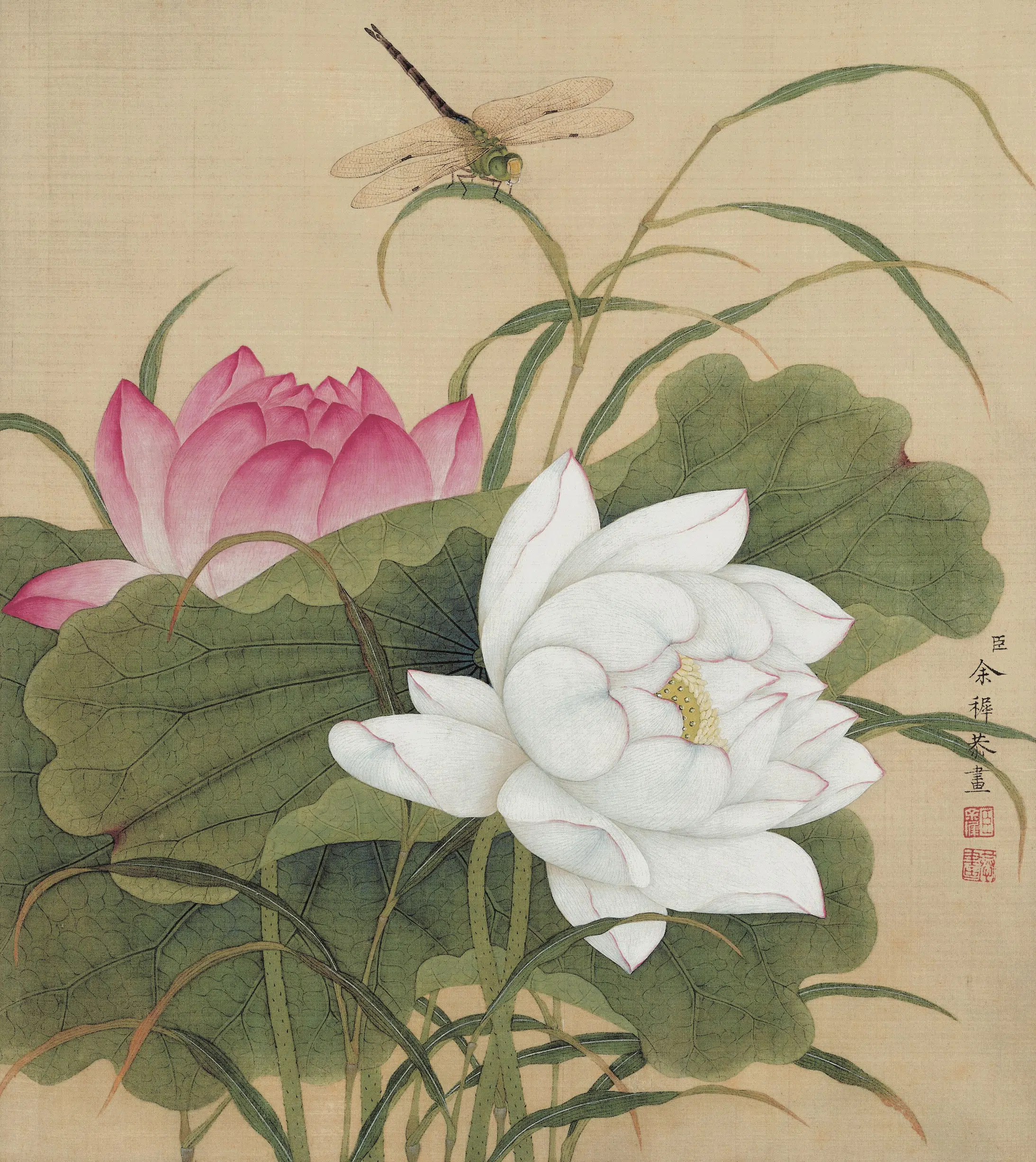 清代【余穉】《花鸟图册》 第2张