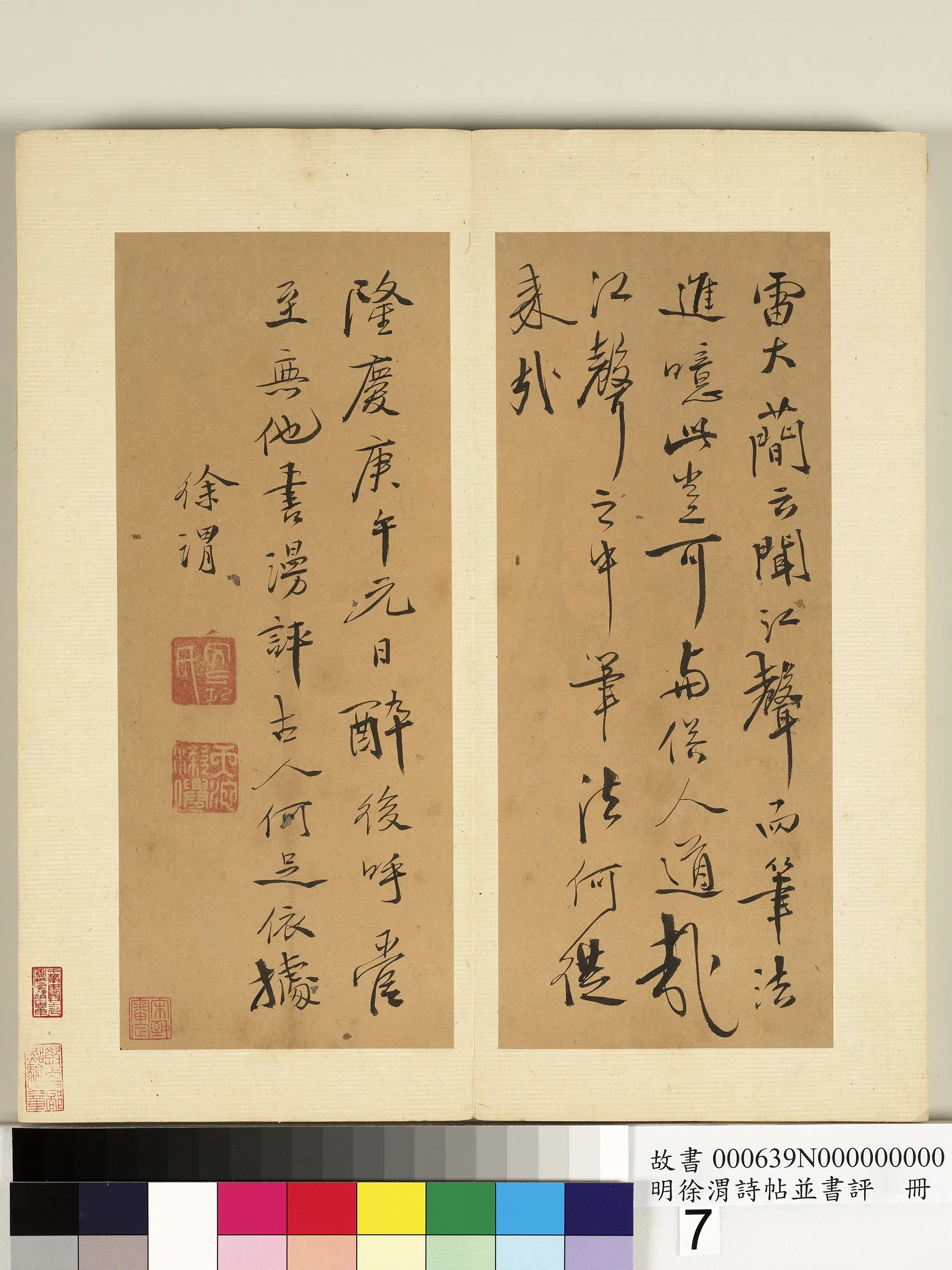 明朝【徐渭】《诗帖并书评册》 第7张 明朝【徐渭】《诗帖并书评册》 第7张