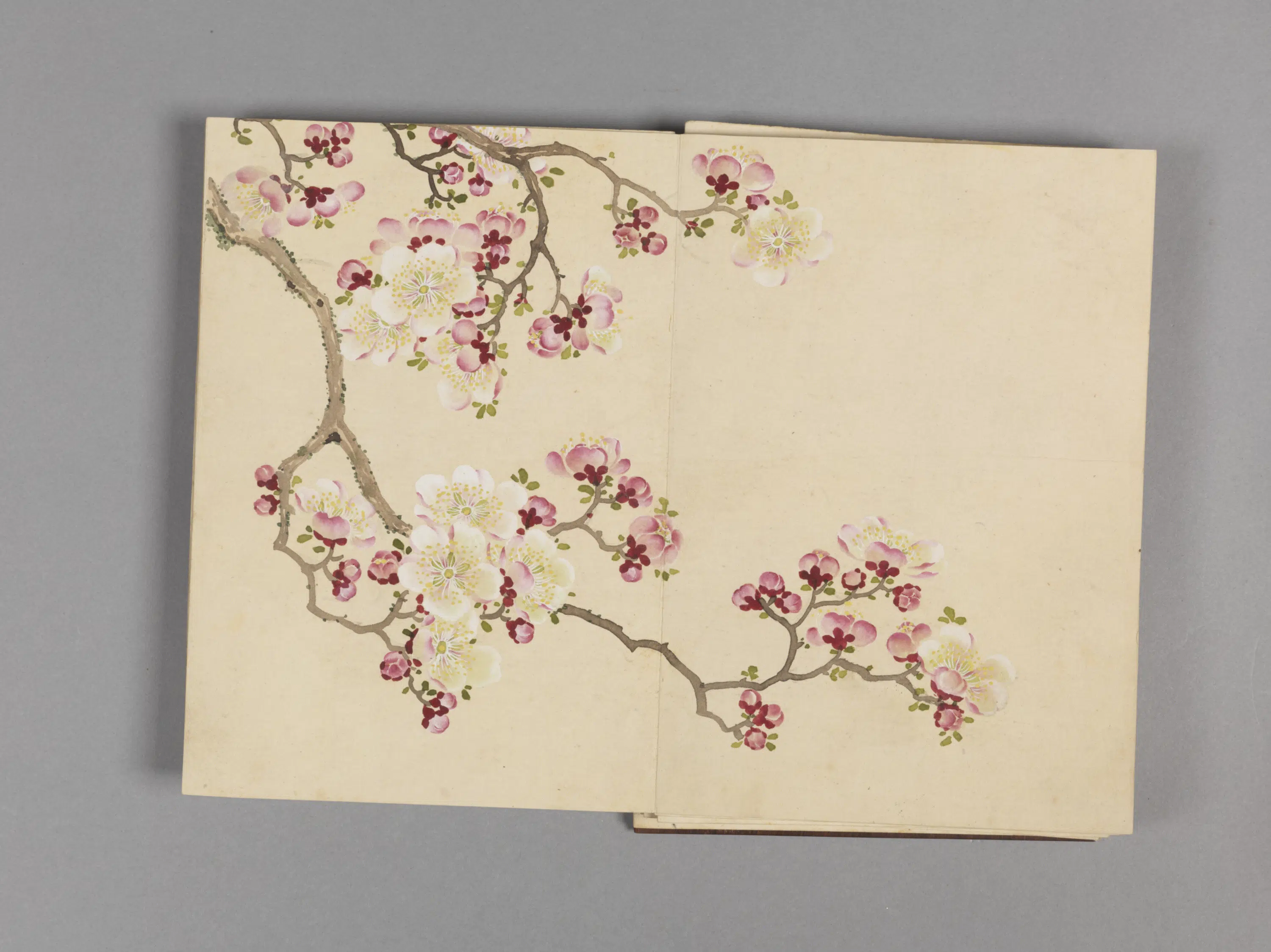 清代【董诰】《花卉小册（16开）》 第7张