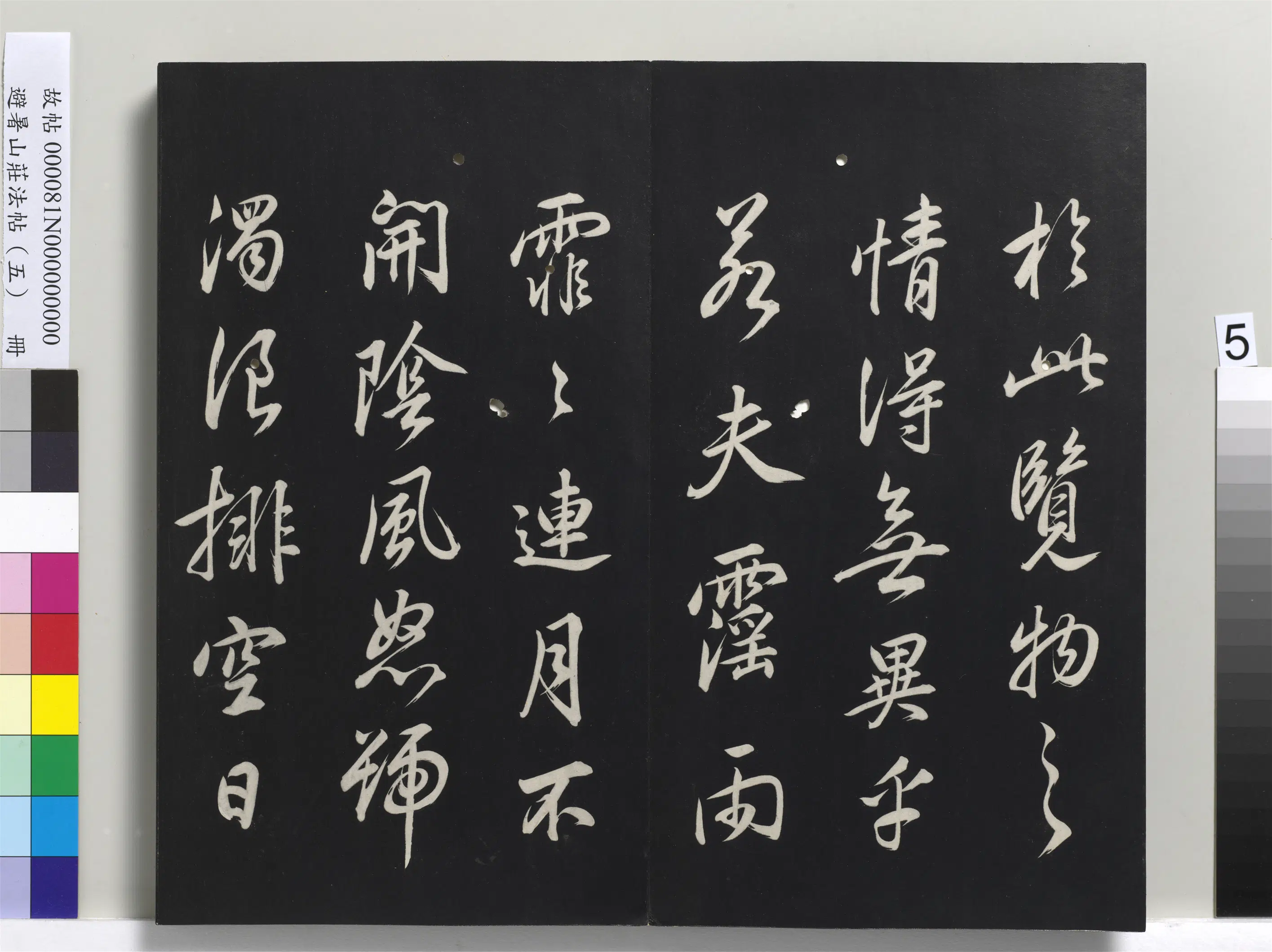 清代【爱新觉罗玄烨-康熙】《避暑山庄法帖（五）册》 第45张