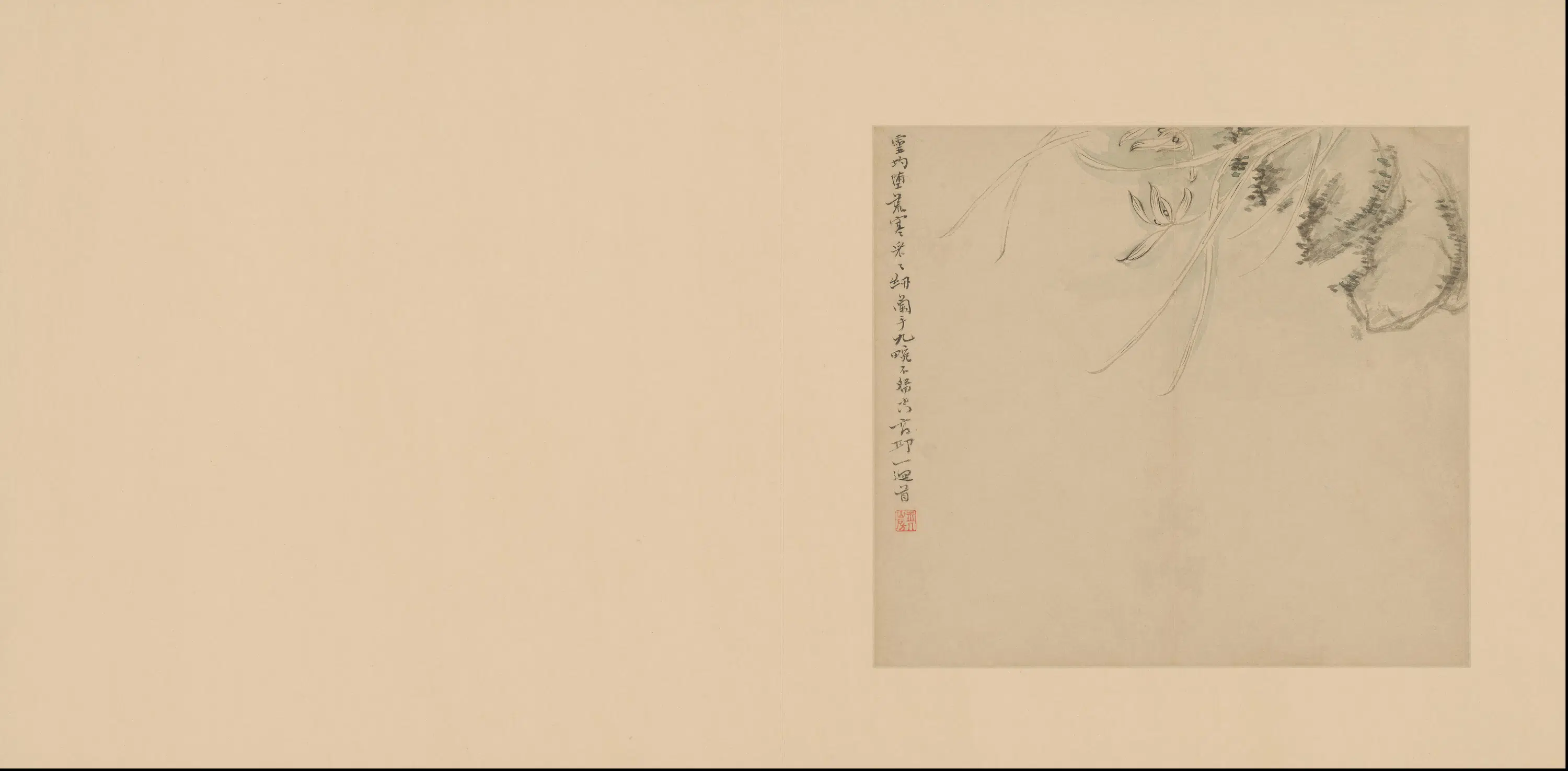 清代【陈撰】《花卉册》 第6张
