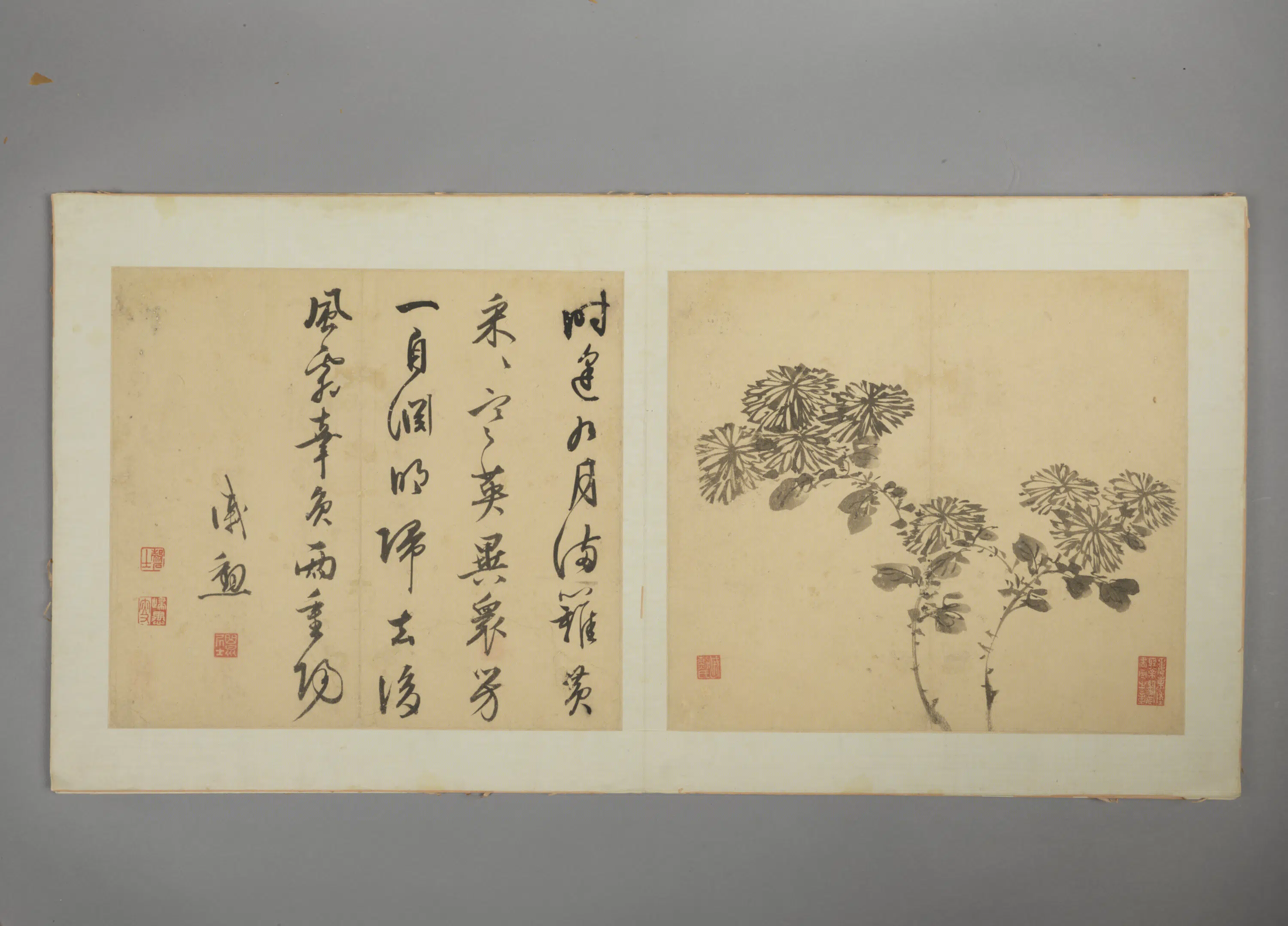 明朝【戚勋】《花卉册》 第7张
