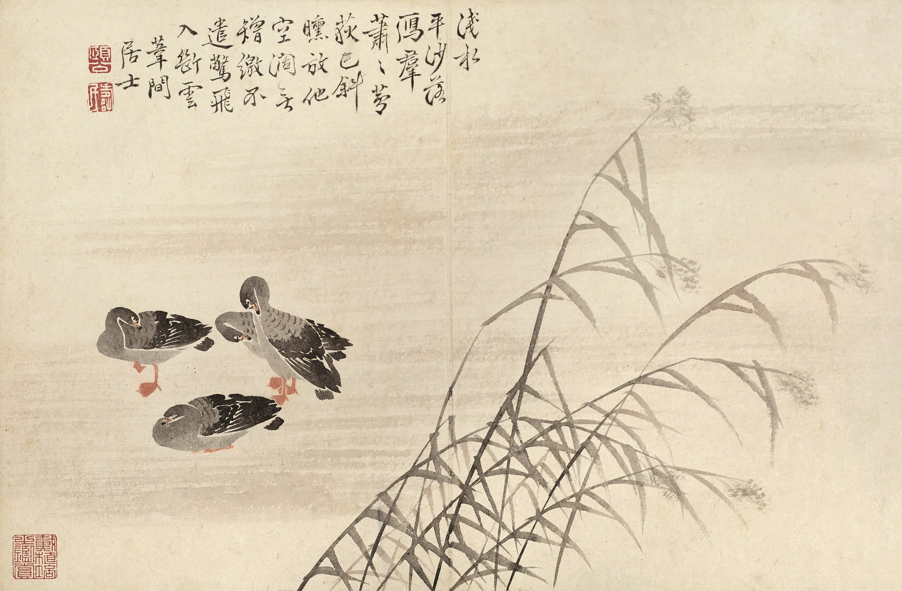 清代【边寿民】《芦雁图册》 第5张