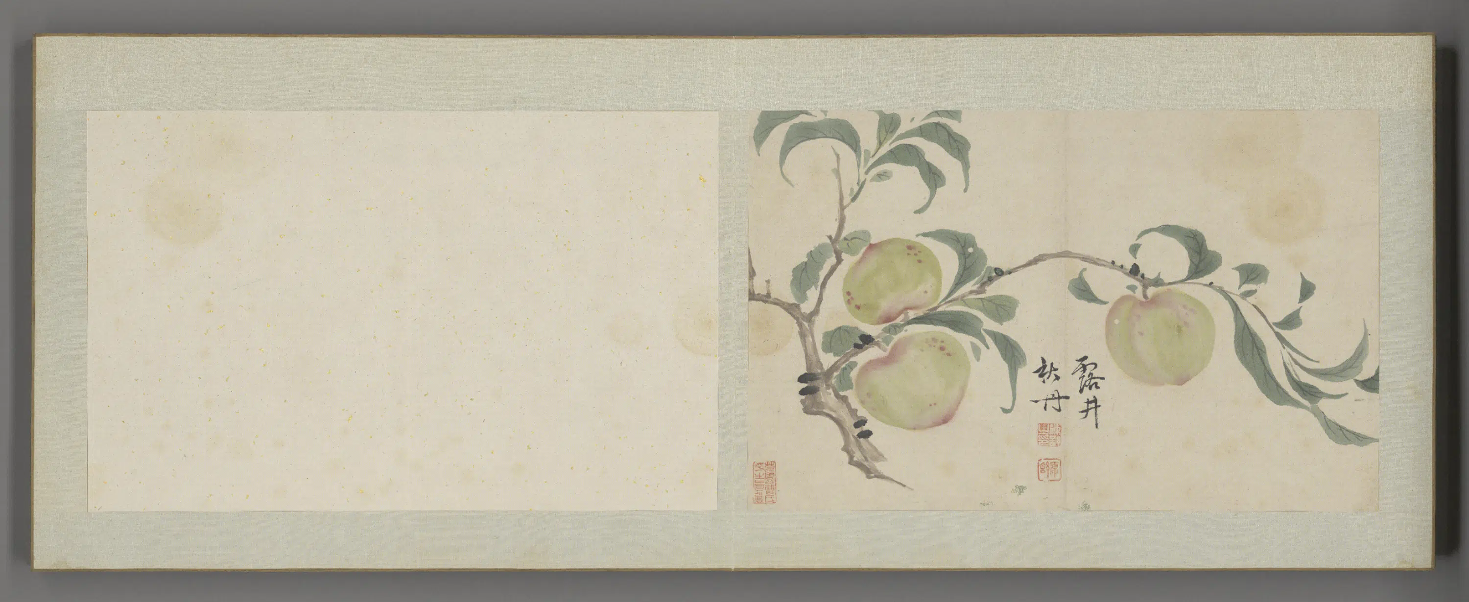 清代【陈舒】《花卉册（12开）》 第6张