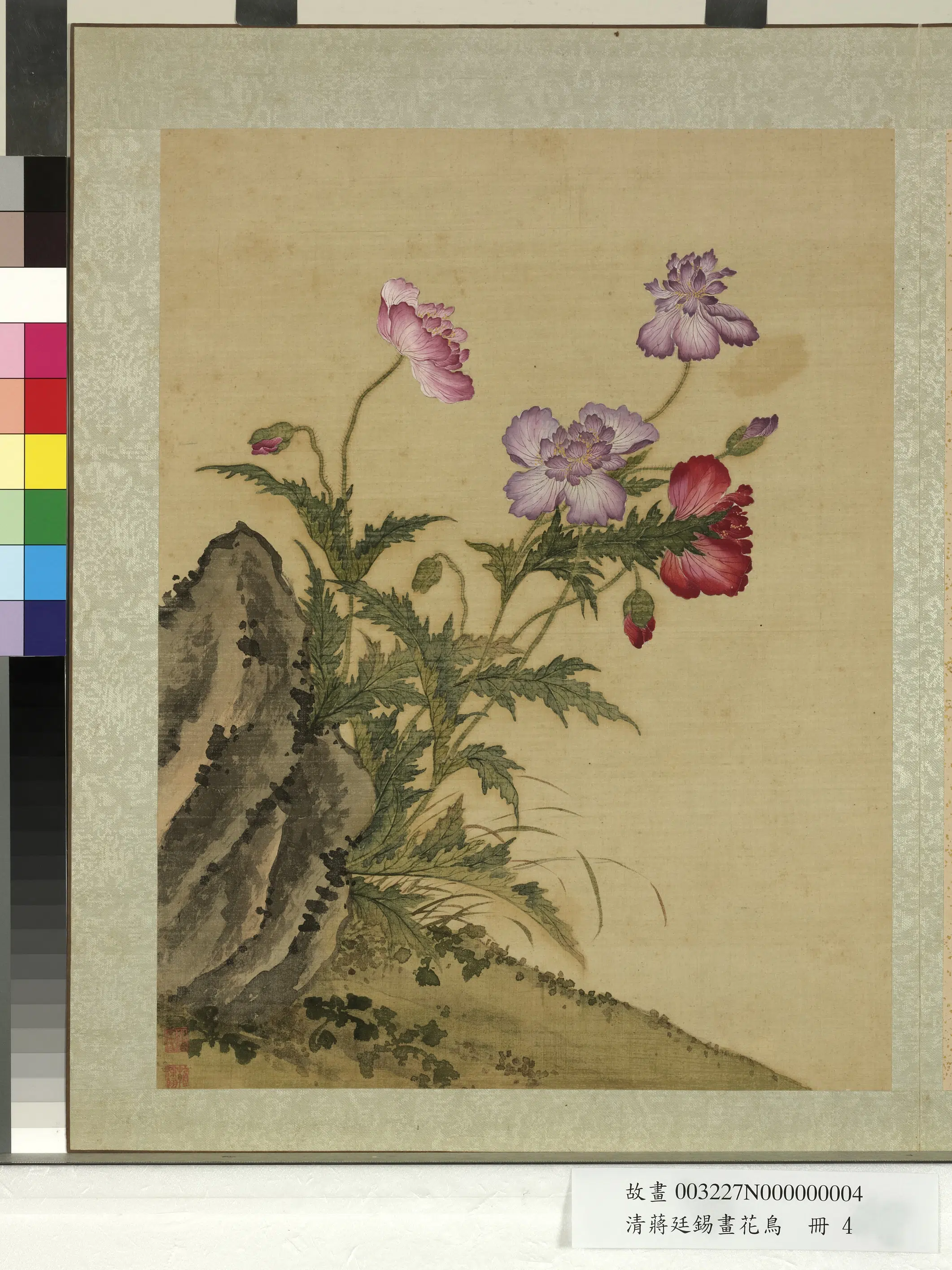 清代【蒋廷锡】《画花鸟册-罂粟》