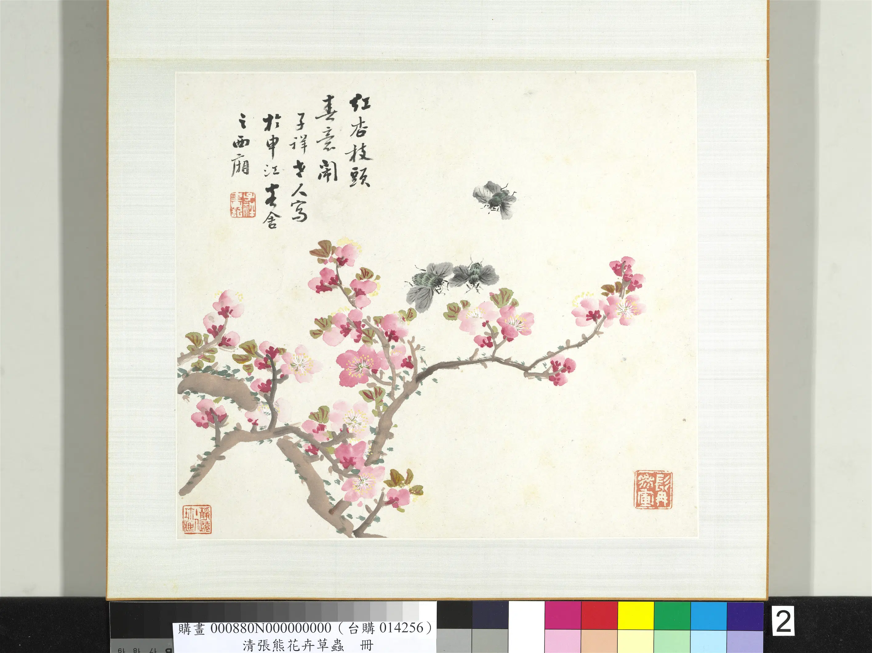 清代【张熊】《花卉草虫册-（二）》