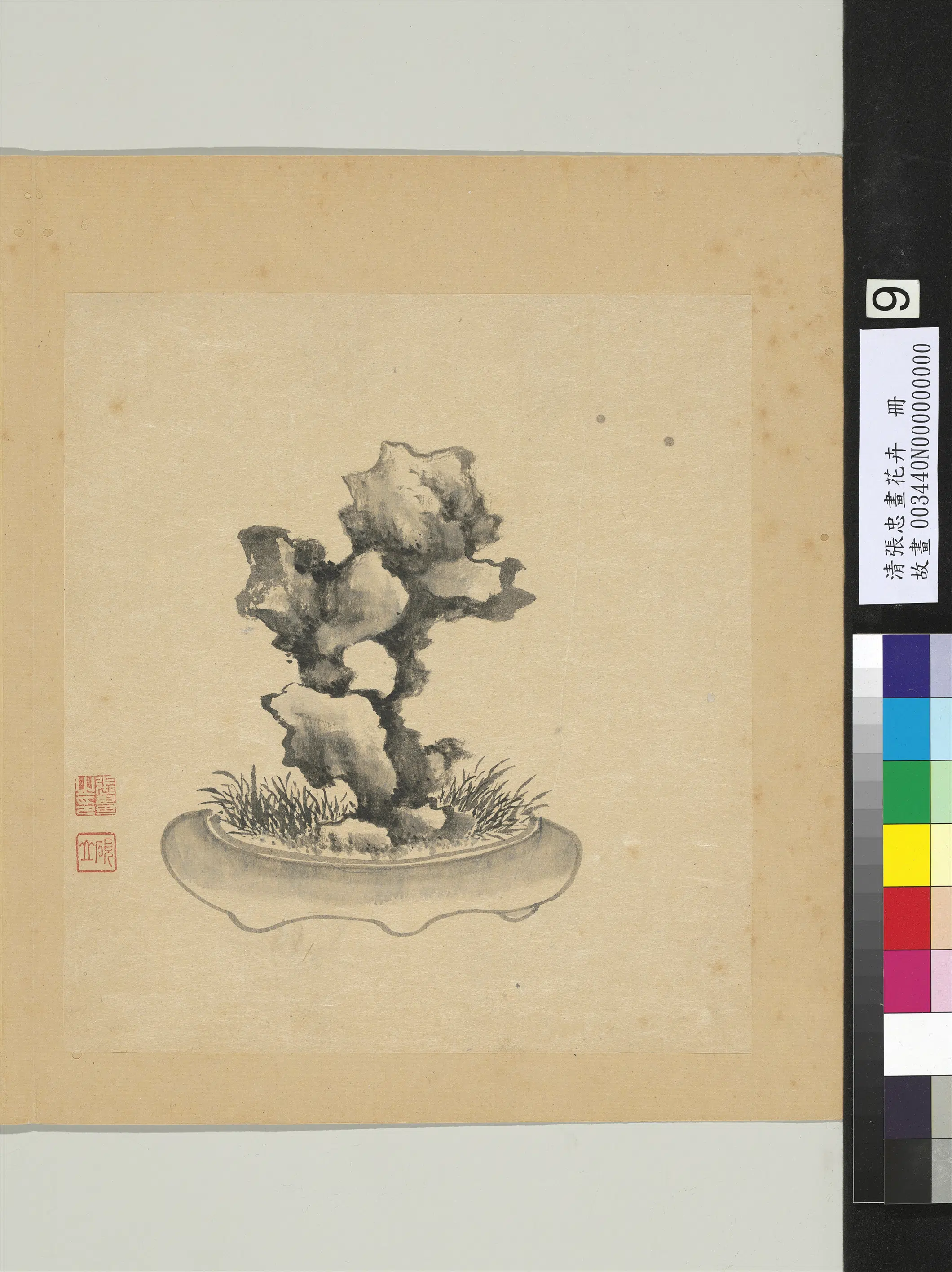 清代【张忠】《画花卉册-草石》