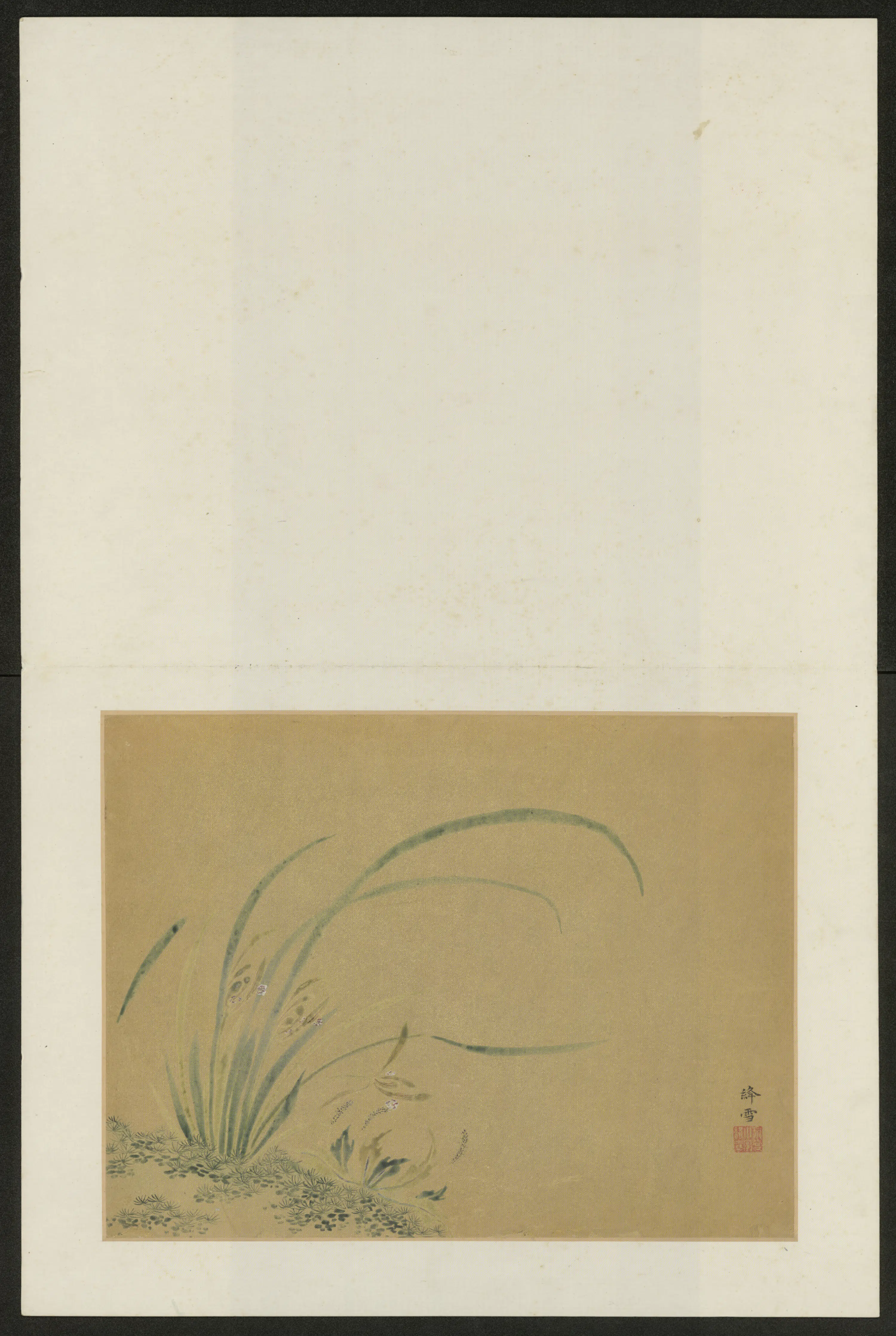 清代【吴宗爱】《花鸟图册》 第5张 清代【吴宗爱】《花鸟图册》 第5张