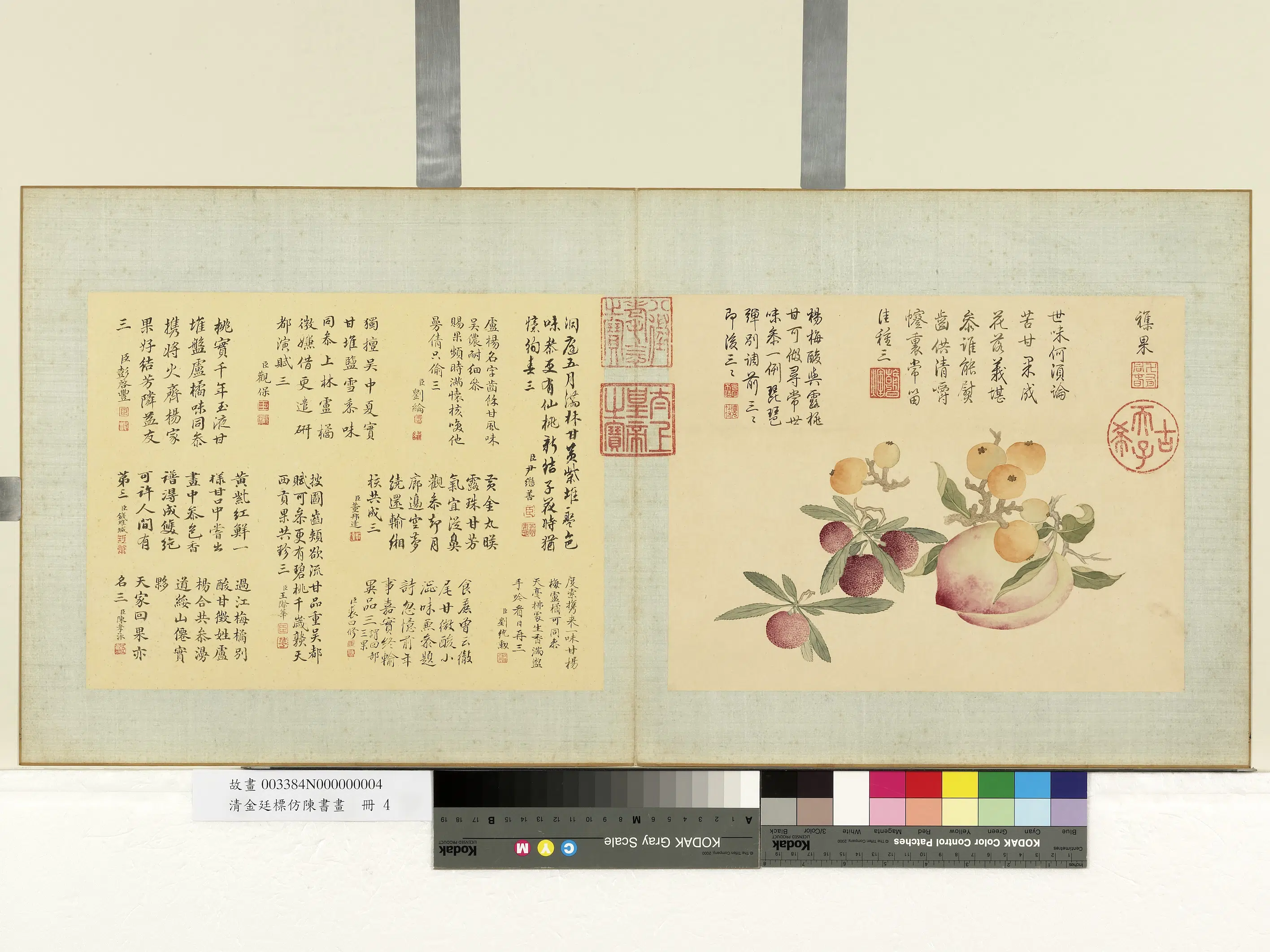 清代【金廷标】《仿陈书画册-杂果》 第1张