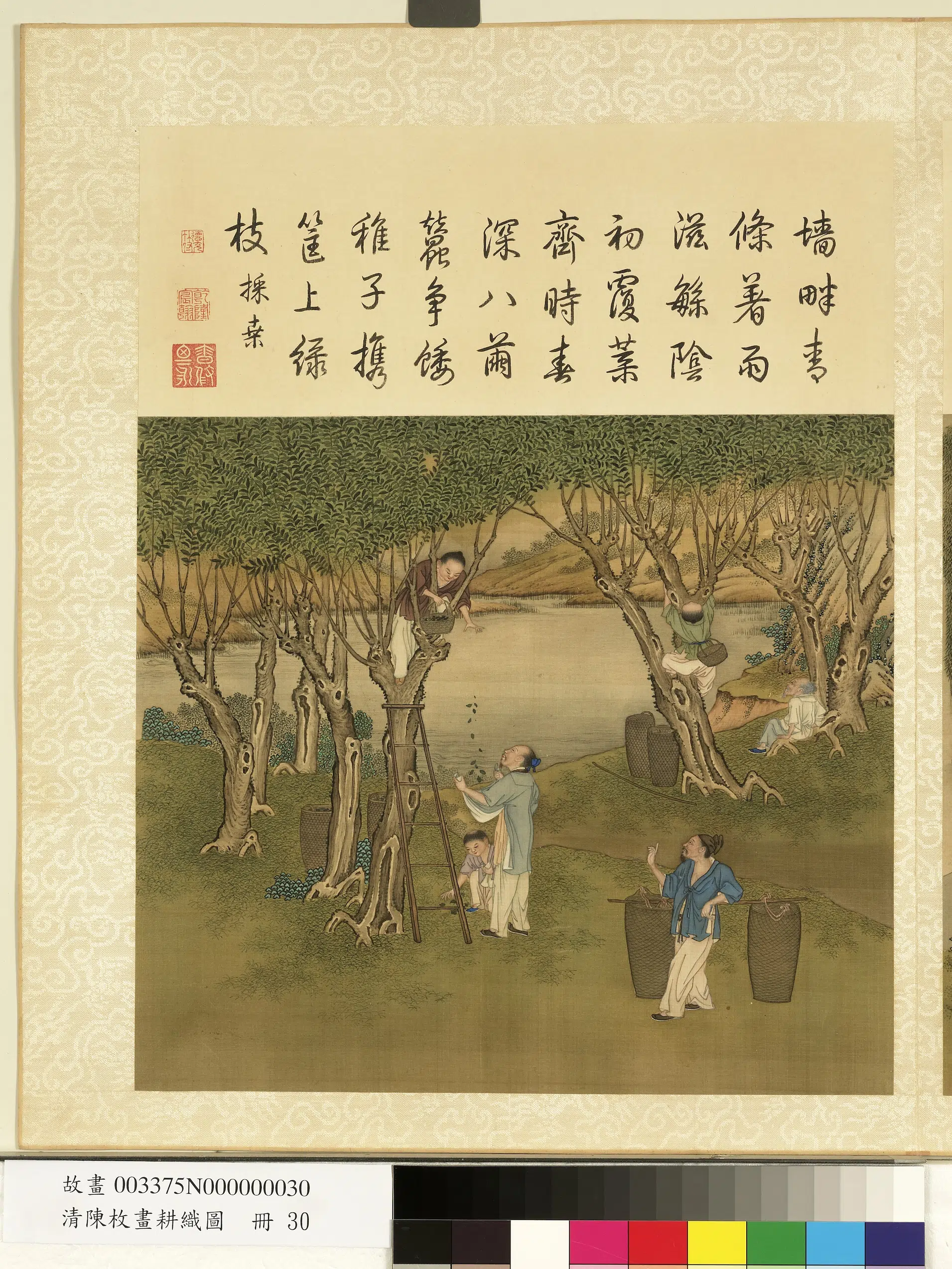 清代【陈枚】《耕织图册-采桑》
