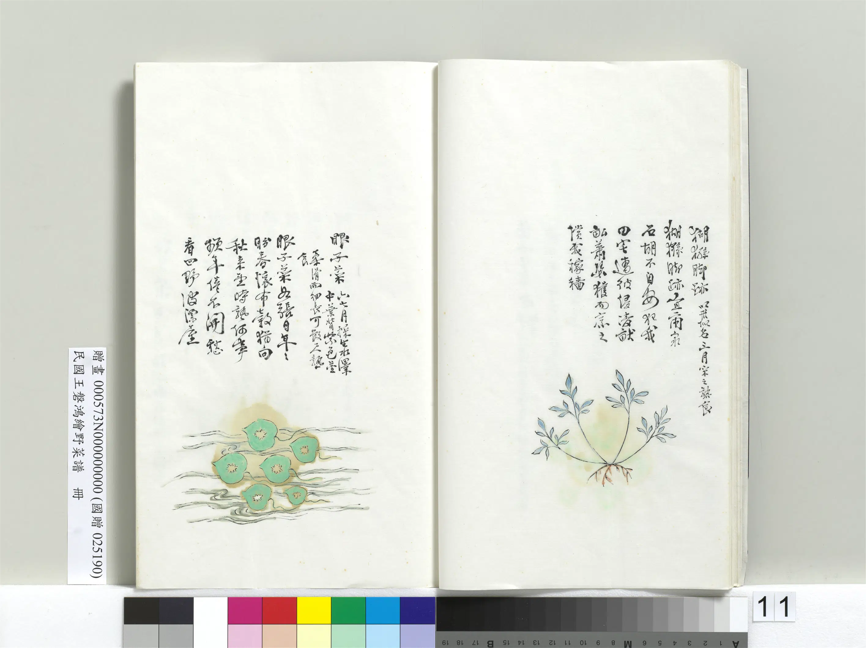《绘王盘野菜谱册-猢狲脚迹》