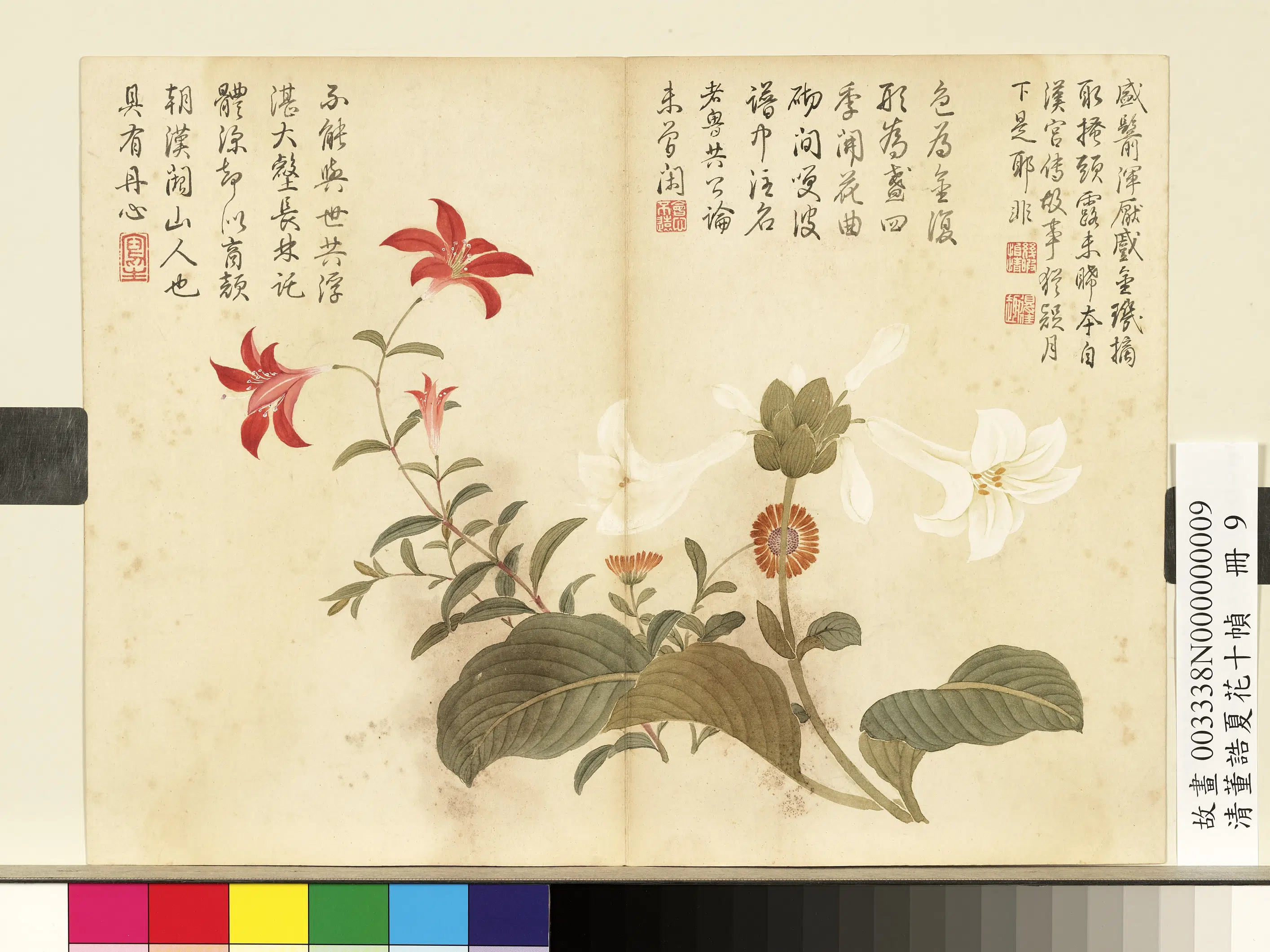 清代【董诰】《夏花十帧册图-10开》 第3张