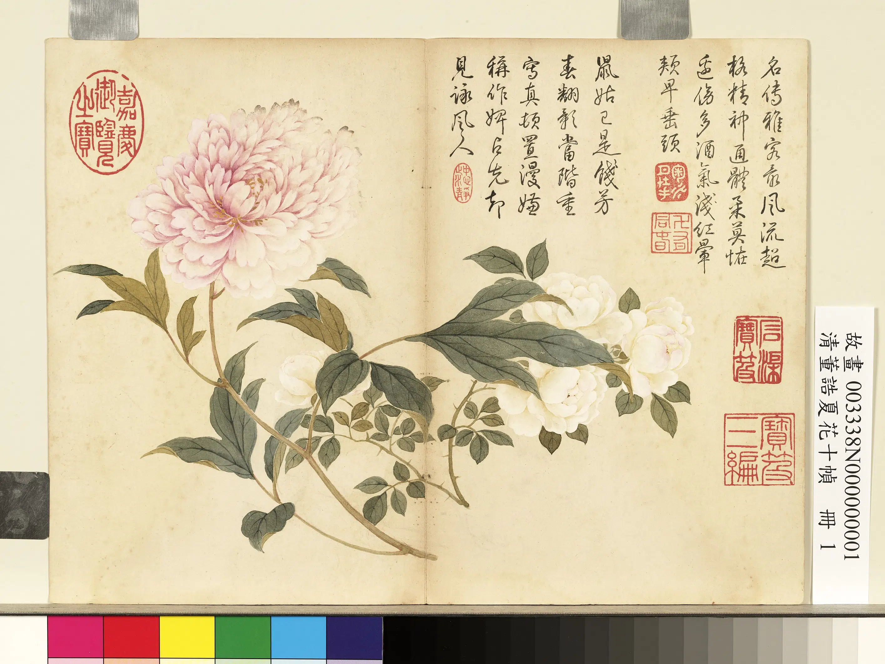 清代【董诰】《夏花十帧册图-10开》 第6张