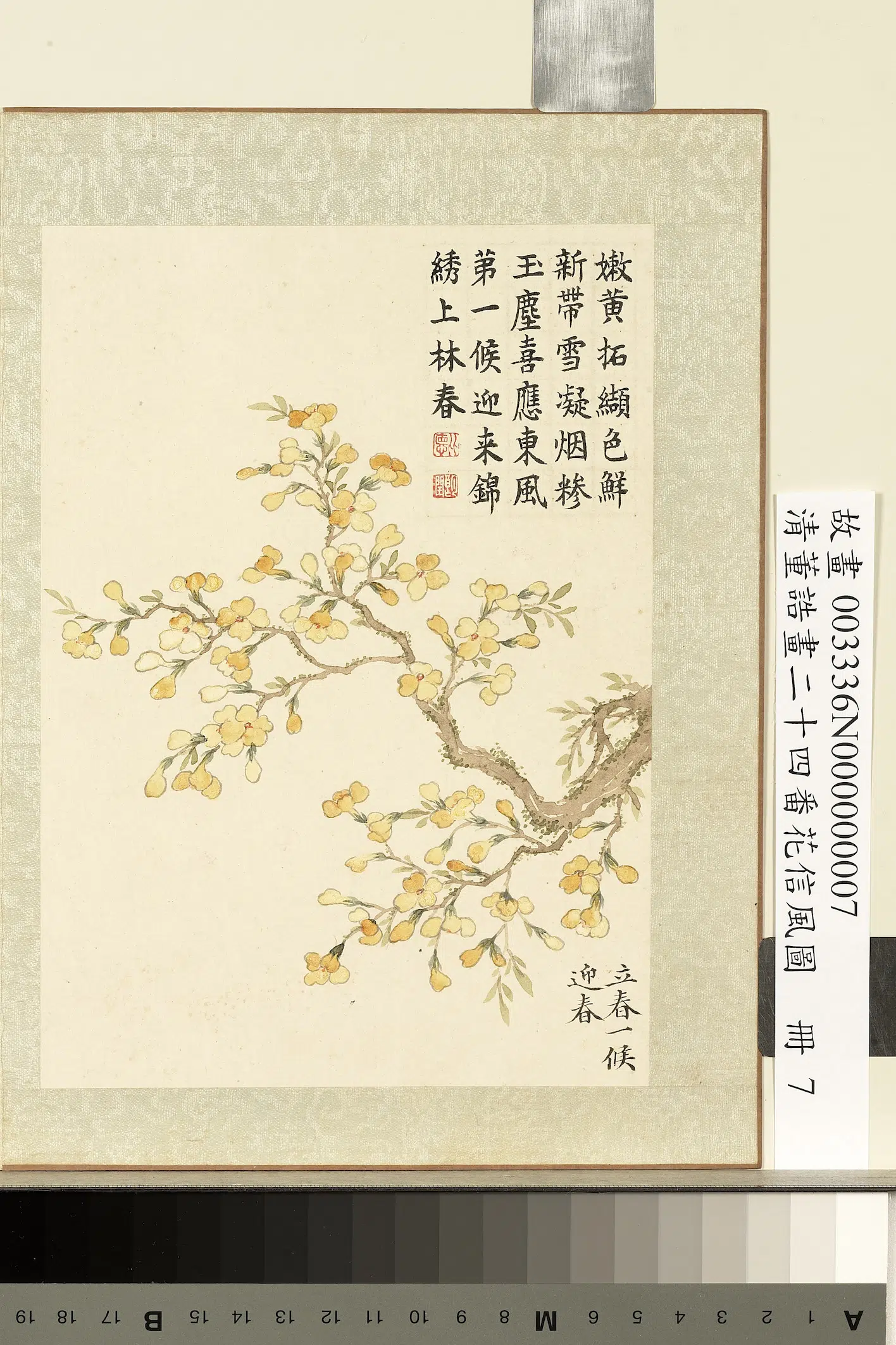 清代【董诰】《画二十四番花信风图册-立春一候迎春》 第1张 清代【董诰】《画二十四番花信风图册-立春一候迎春》 第1张