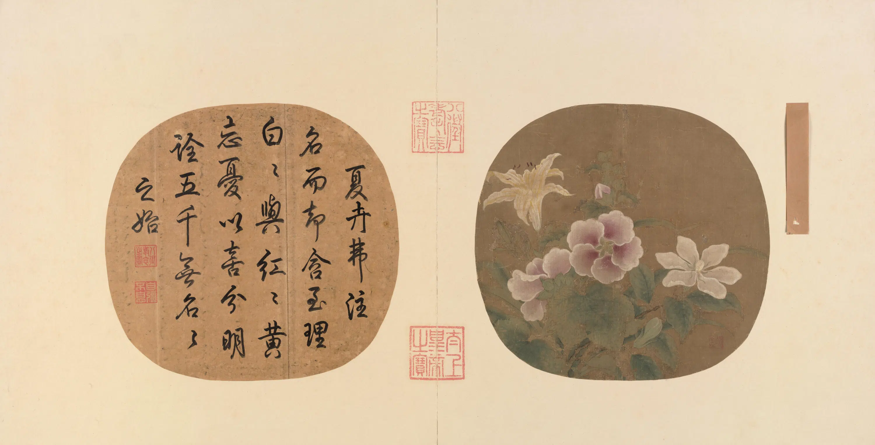 宋代【佚名】《宋人夏卉骈芳图页》