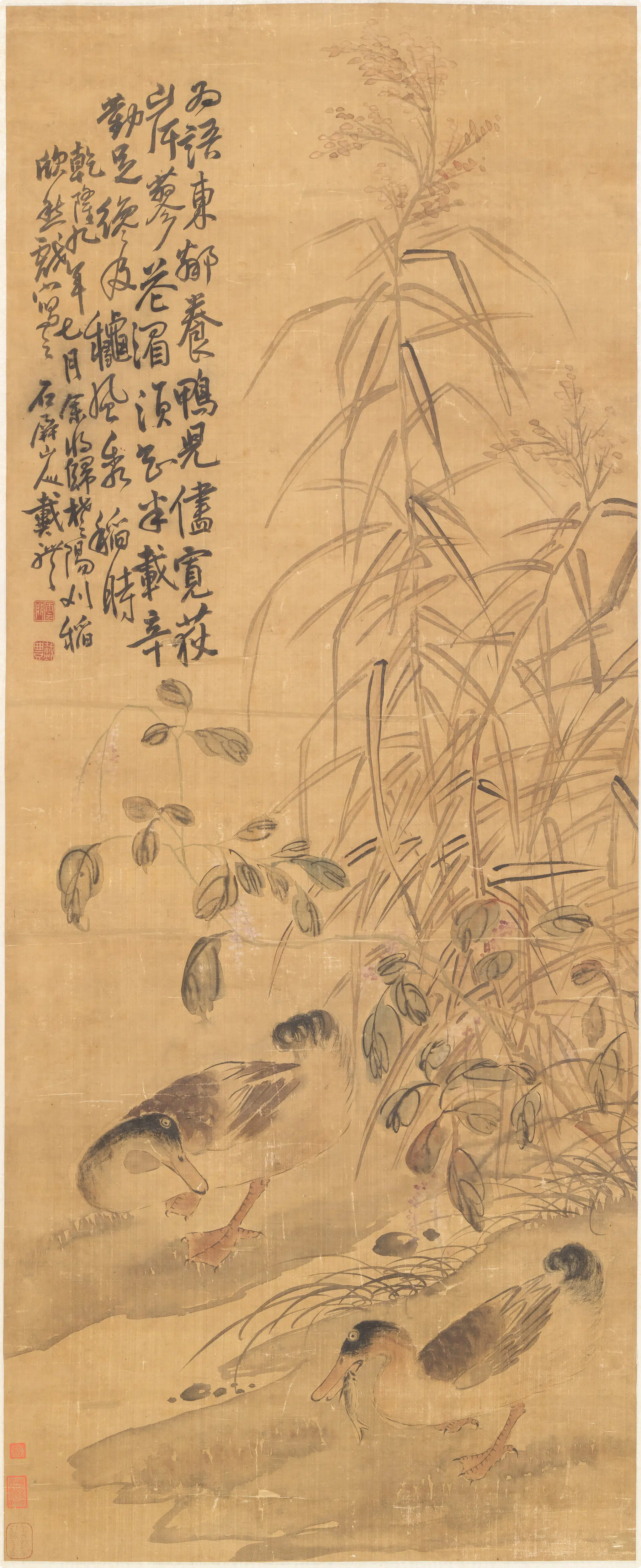 清代【戴礼】《芦鸭图轴》