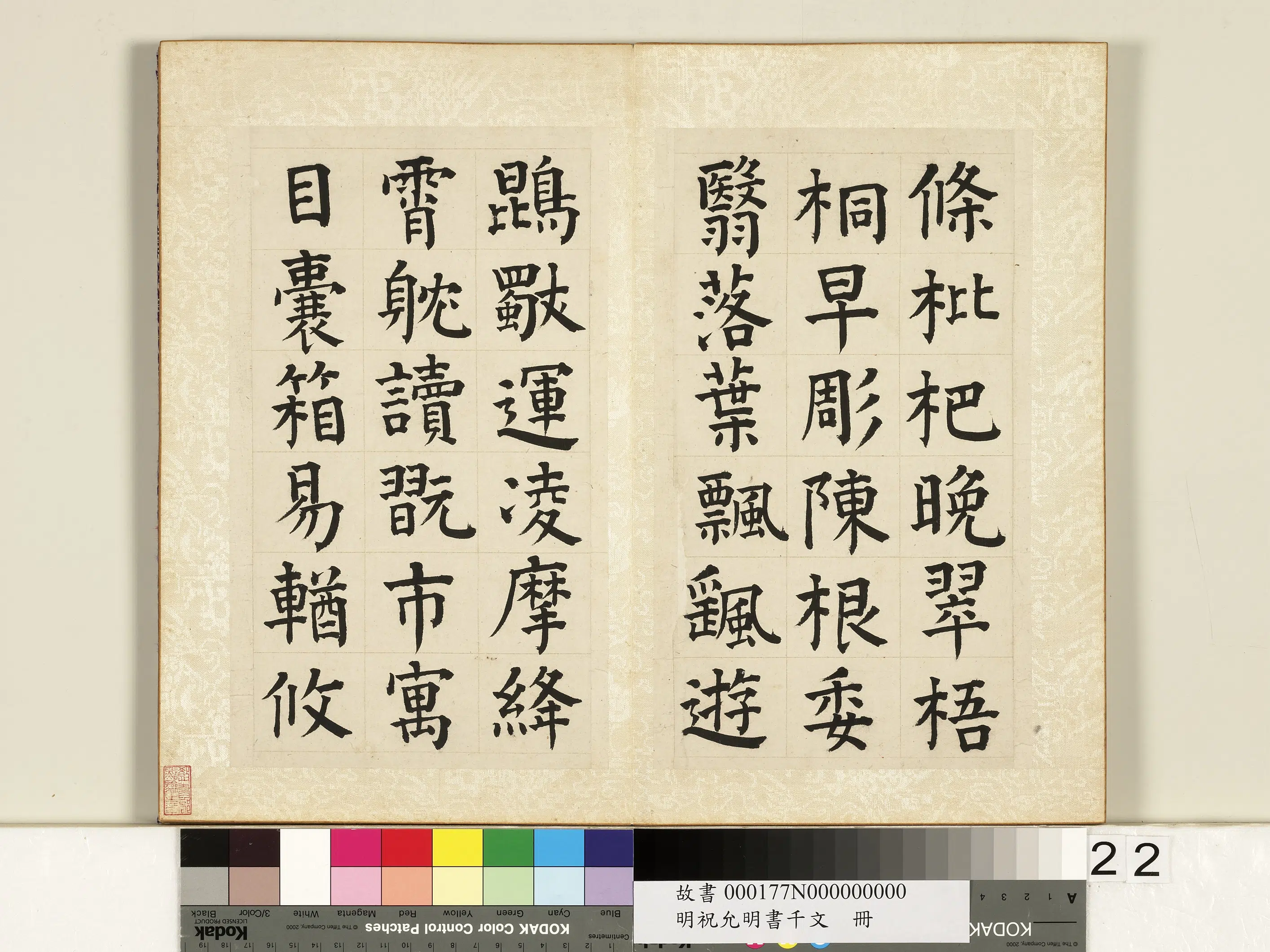 明朝【祝允明】《书千字文册》 第15张