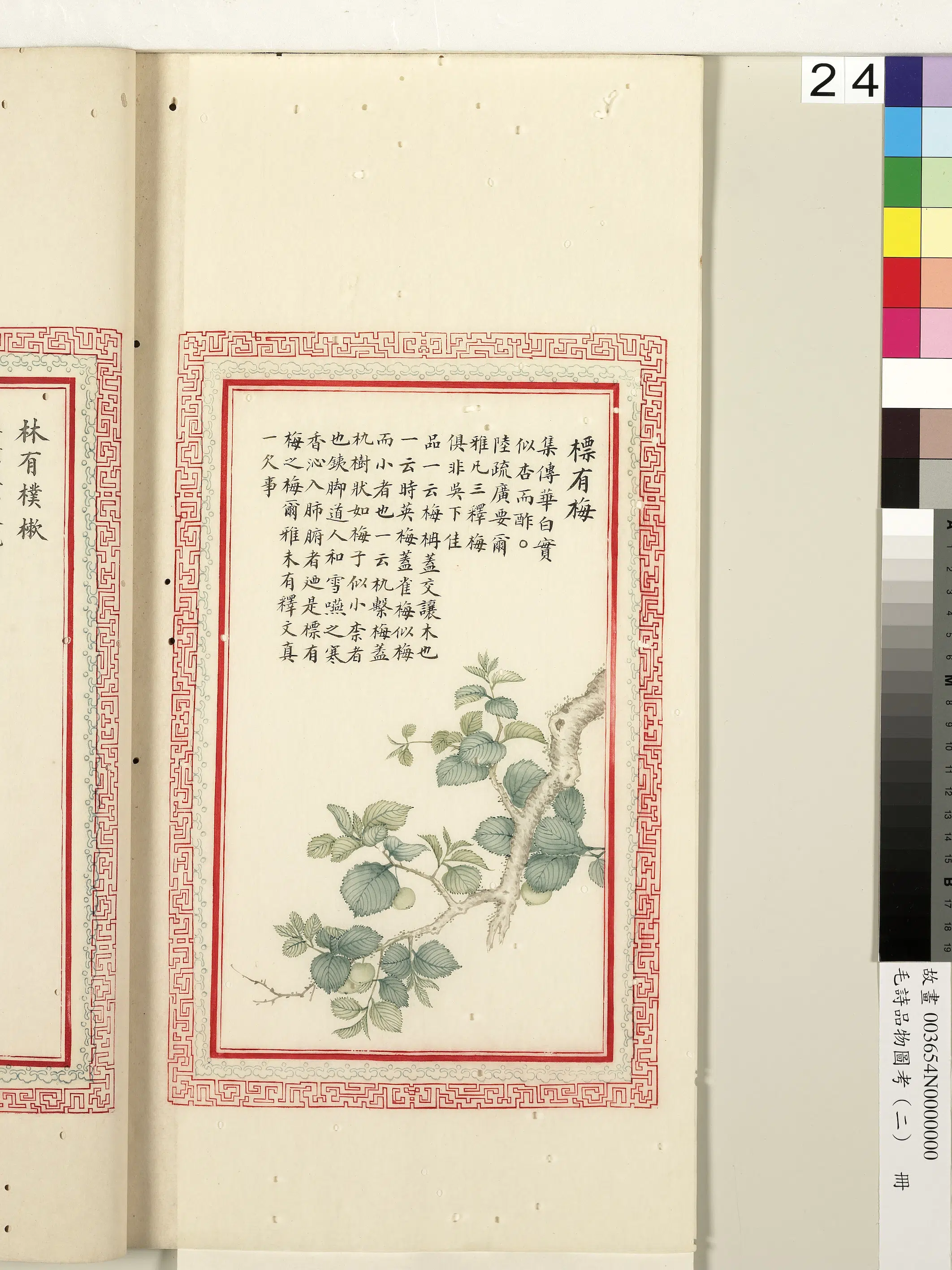 清代《毛诗品物图考(二)册-1》 第28张 清代《毛诗品物图考(二)册-1》 第28张