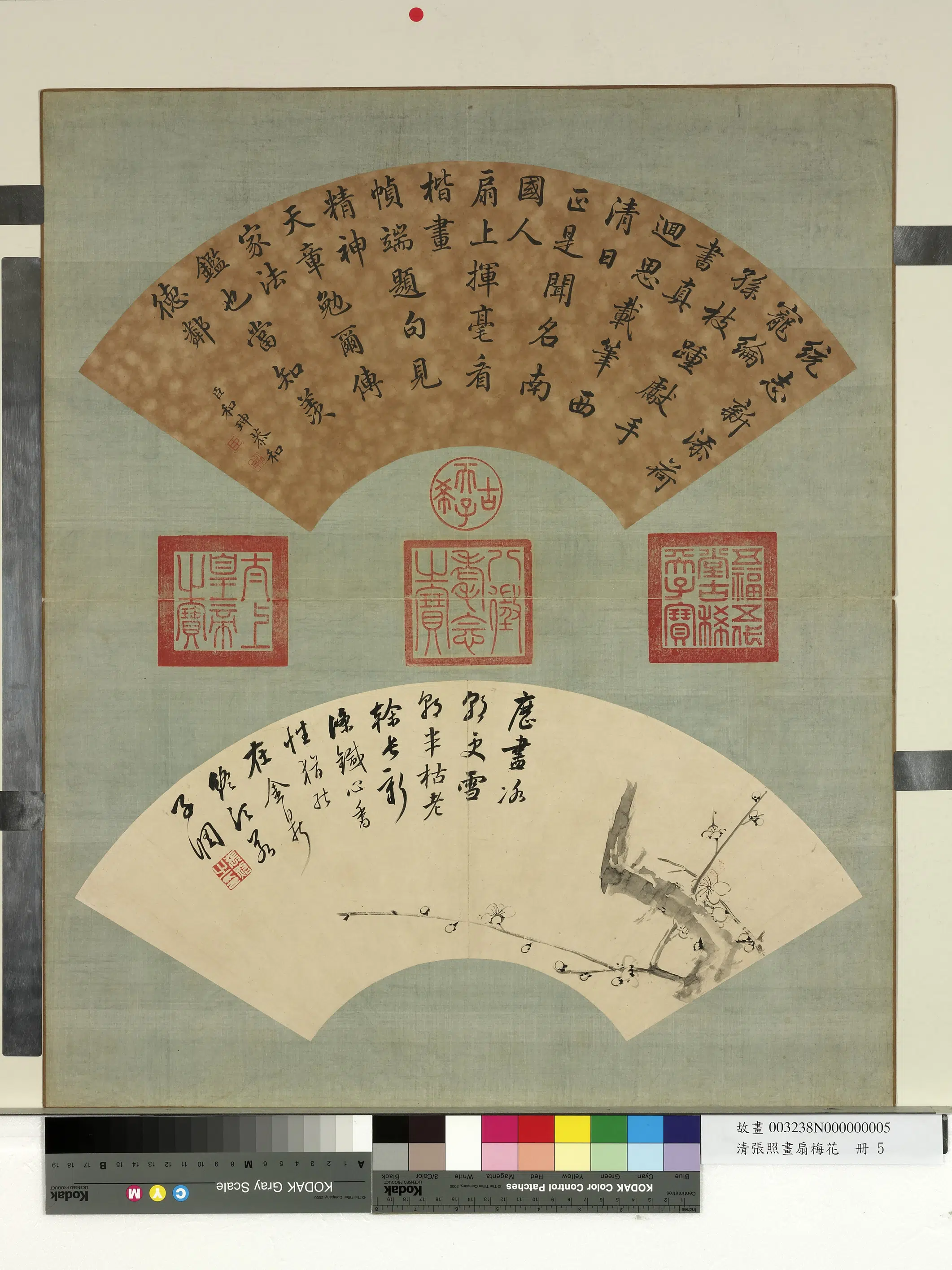 清代【张照】《画扇梅花册-梅花（五）》