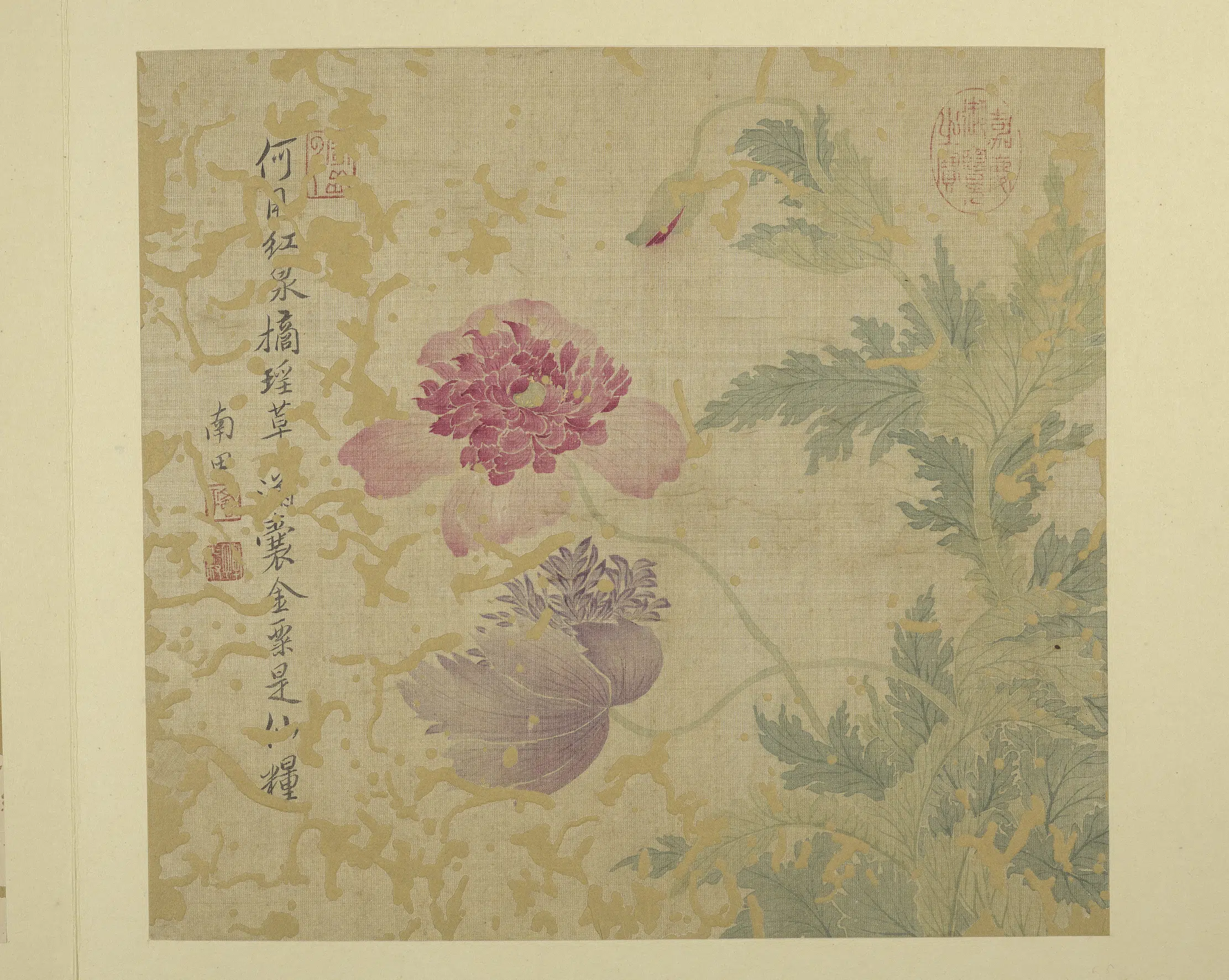 清代【恽寿平】《画花卉册-罂粟》