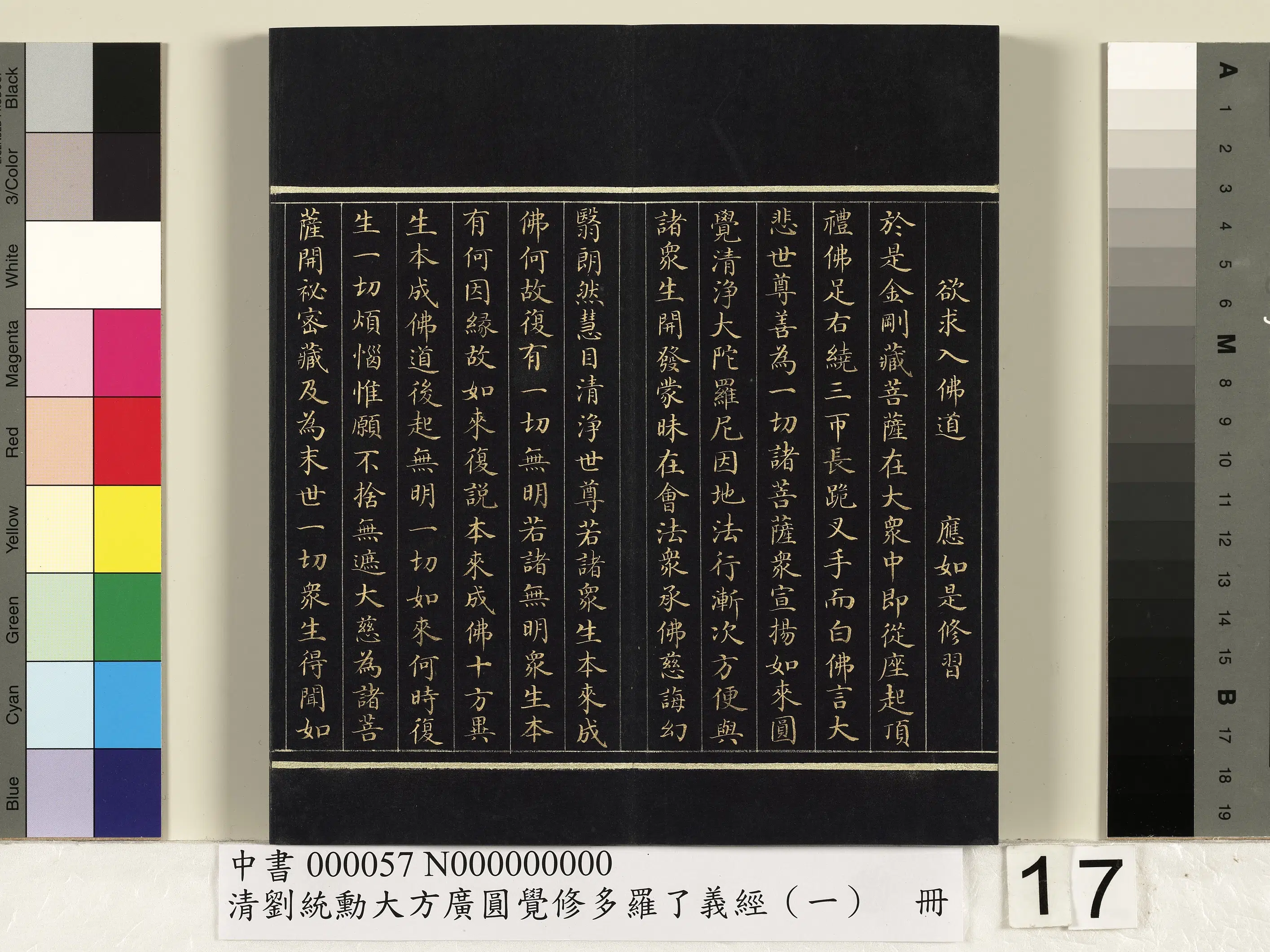 清代【刘统勋】《大方广圆觉修多罗了义经（一）册》 第9张