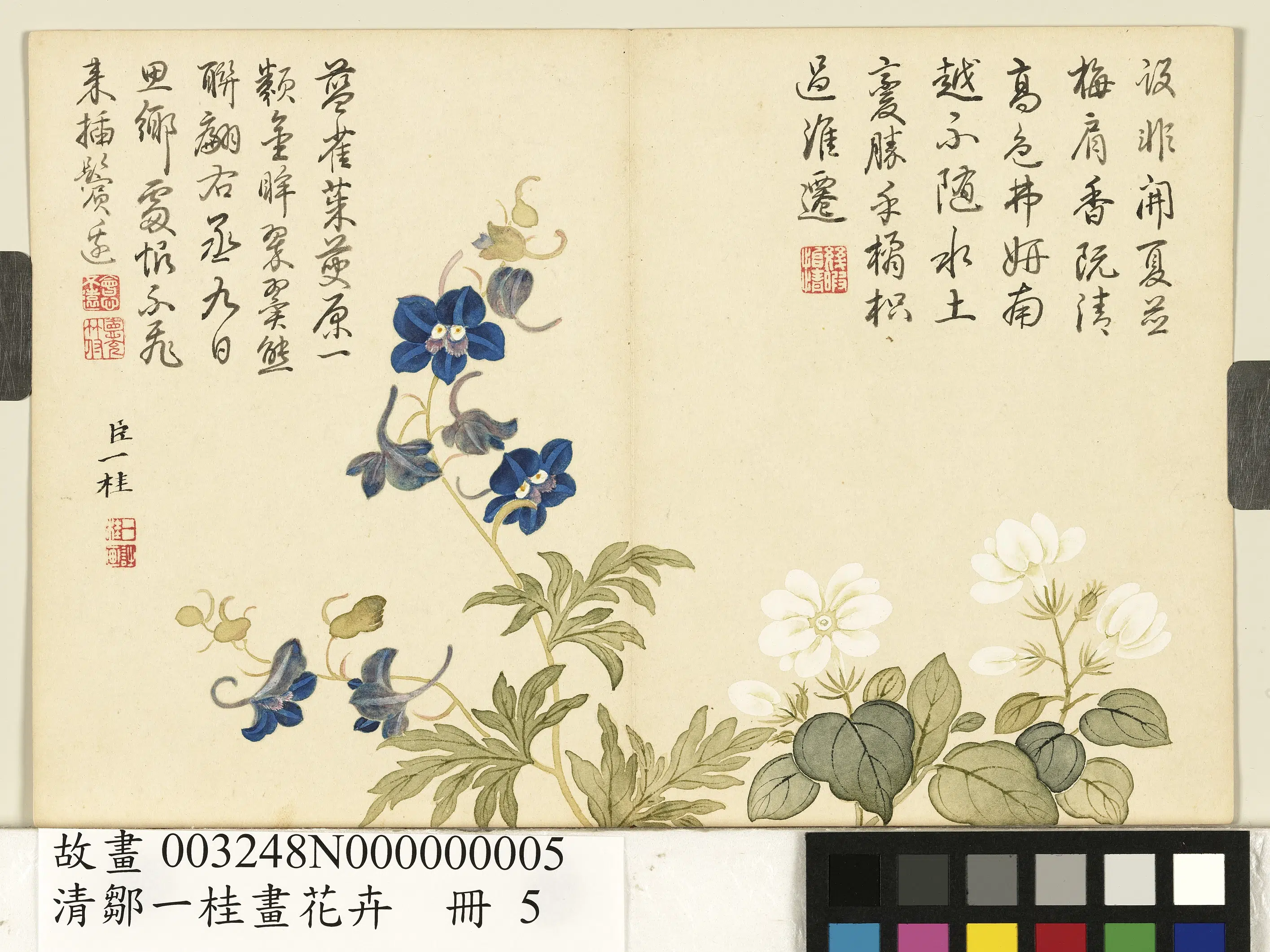 清代【邹一桂】《画花卉册-翠雀》
