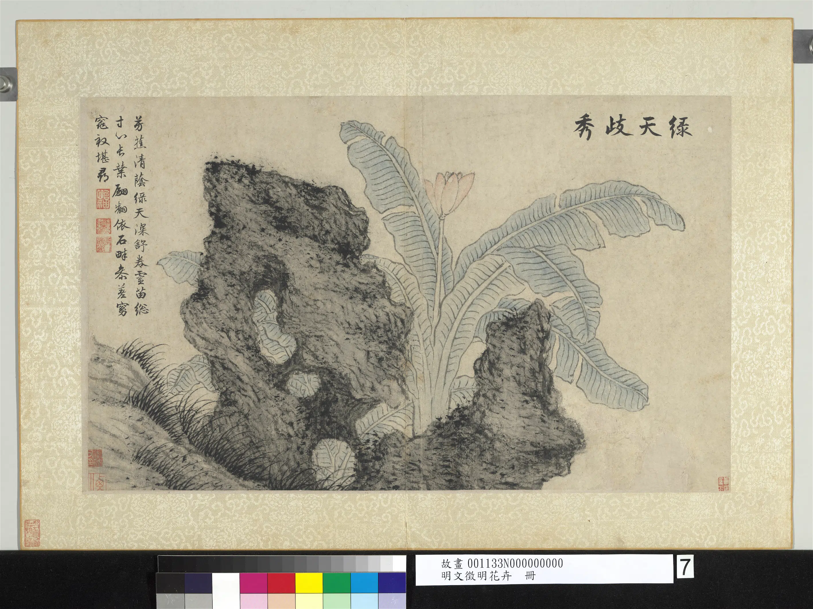 明朝【文征明徵明】《花卉册》 第8张 明朝【文征明徵明】《花卉册》 第8张