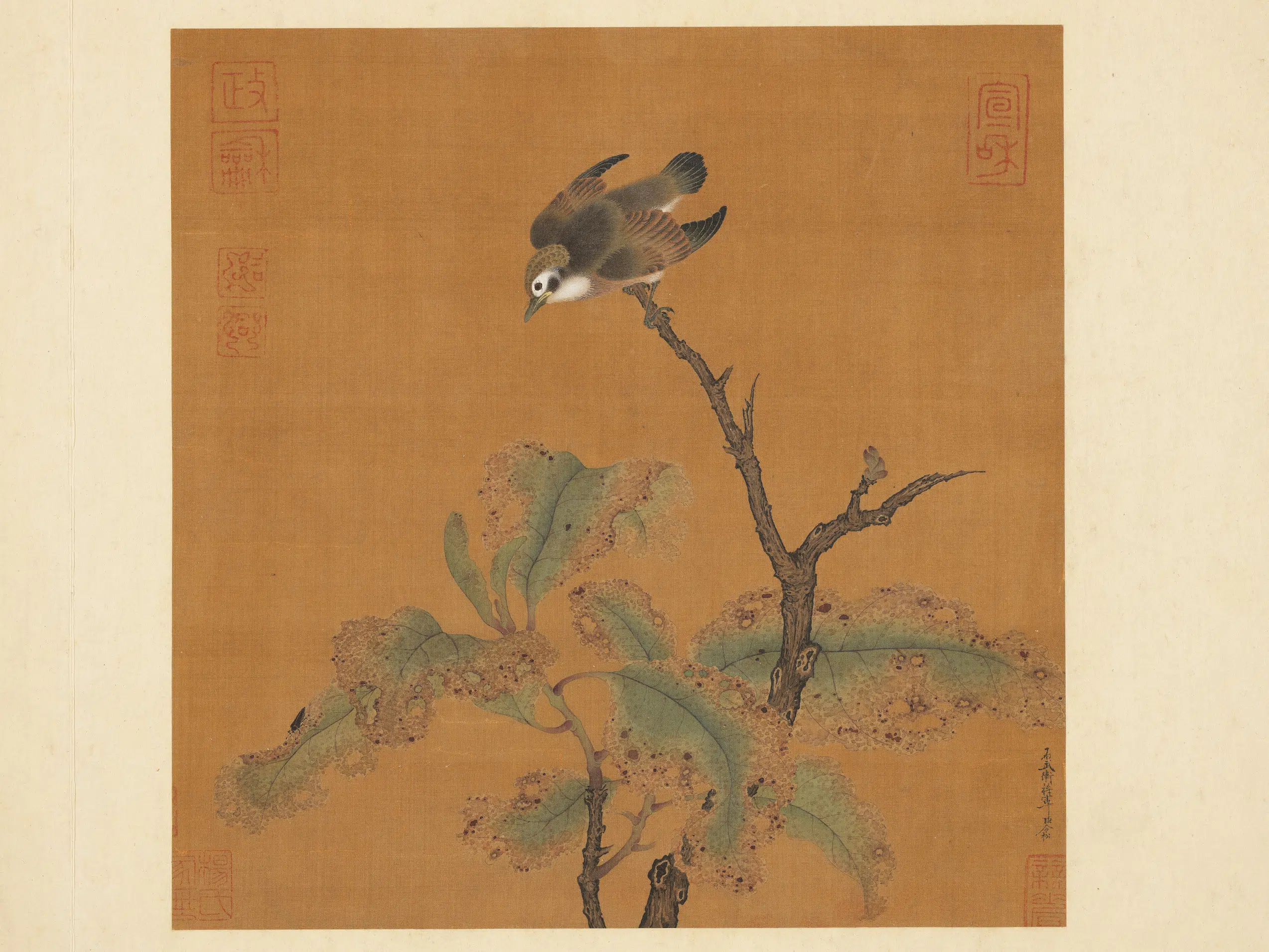 宋代【赵令松】《历代名绘册-花鸟》 第1张
