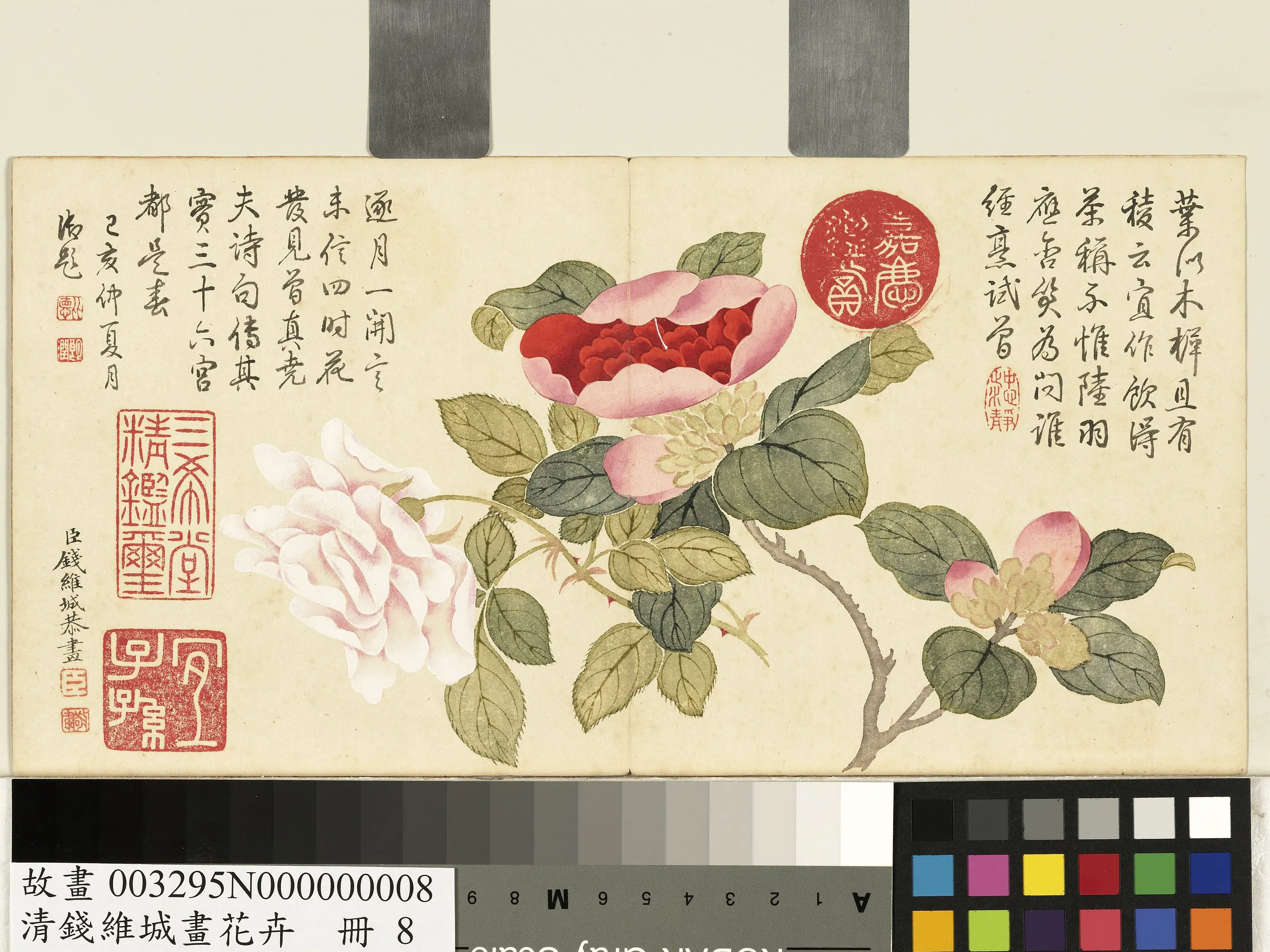 清代【钱维城】《画花卉册-山茶玫瑰》