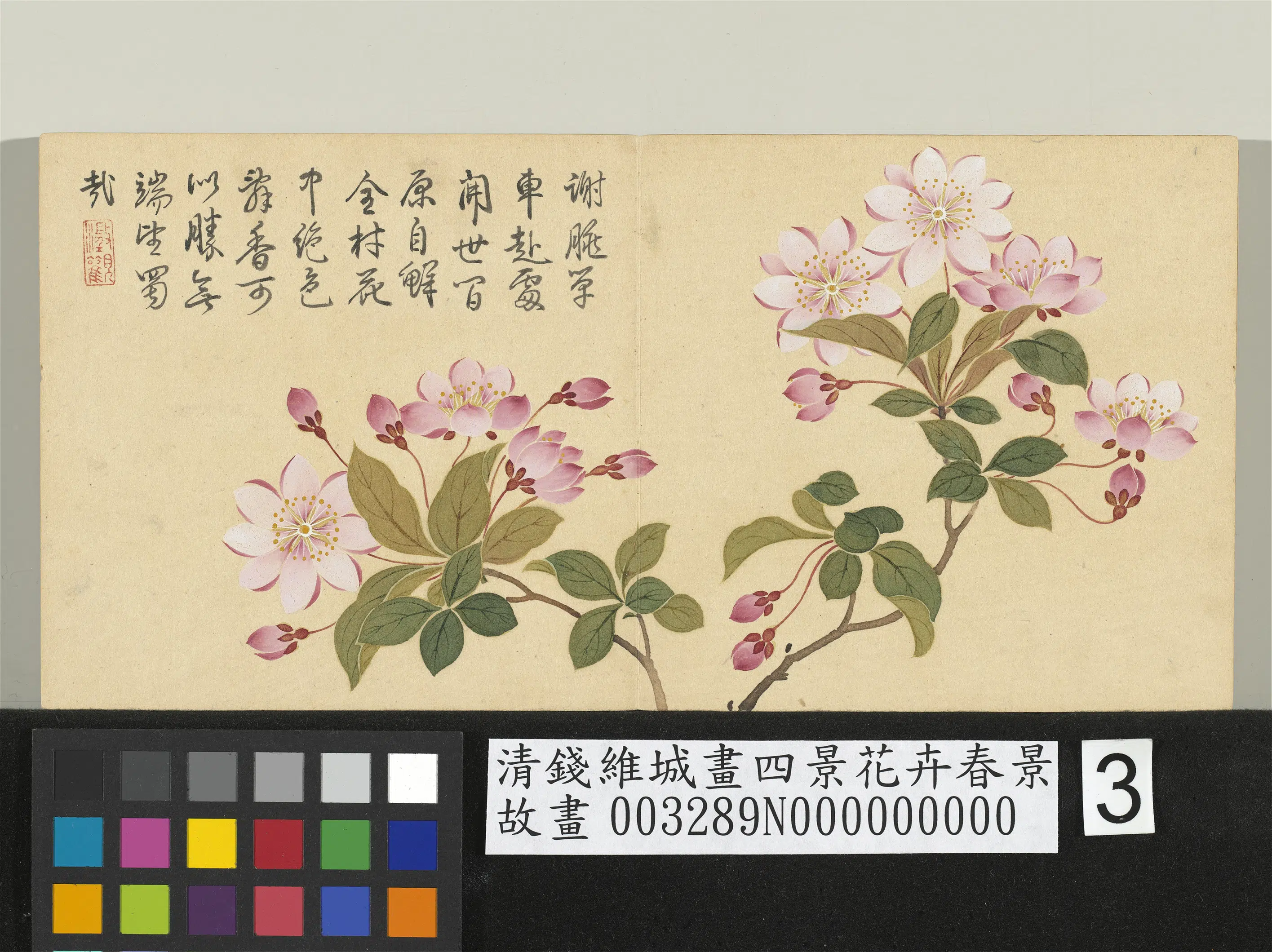 清代【钱维城】《画四景花卉春景册-西府海棠》