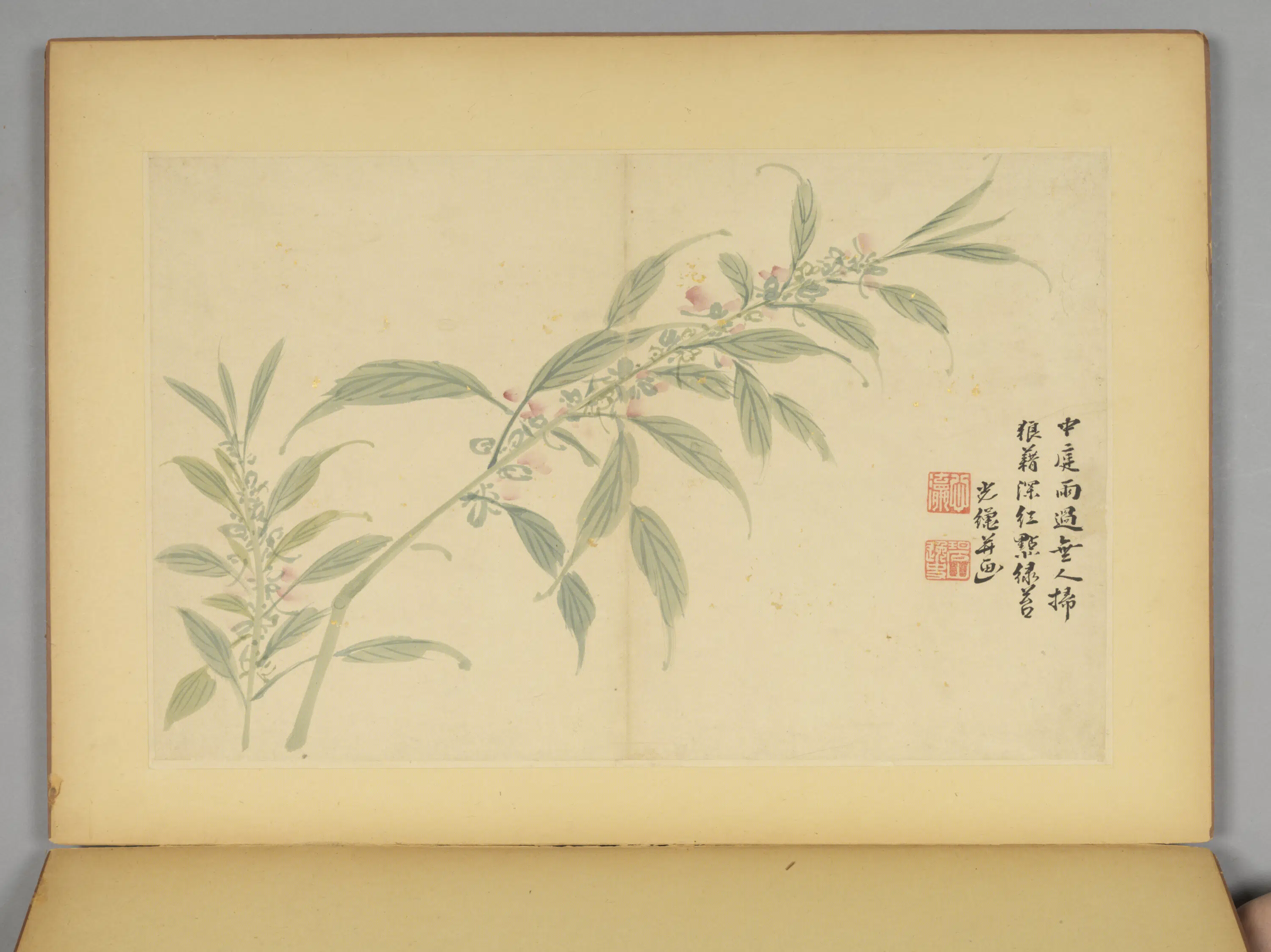 明朝【毛复光】《花卉人物册》 第11张 明朝【毛复光】《花卉人物册》 第11张