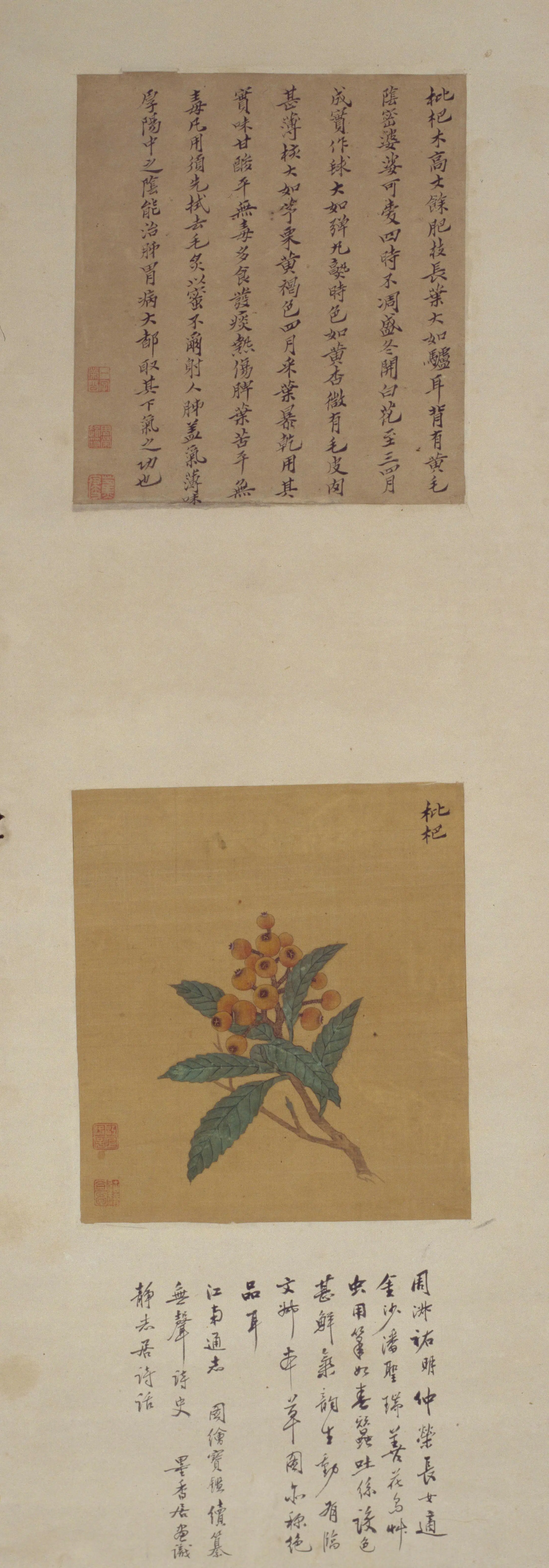 清代【周淑祜】《周淑禧花果图屏》 第2张