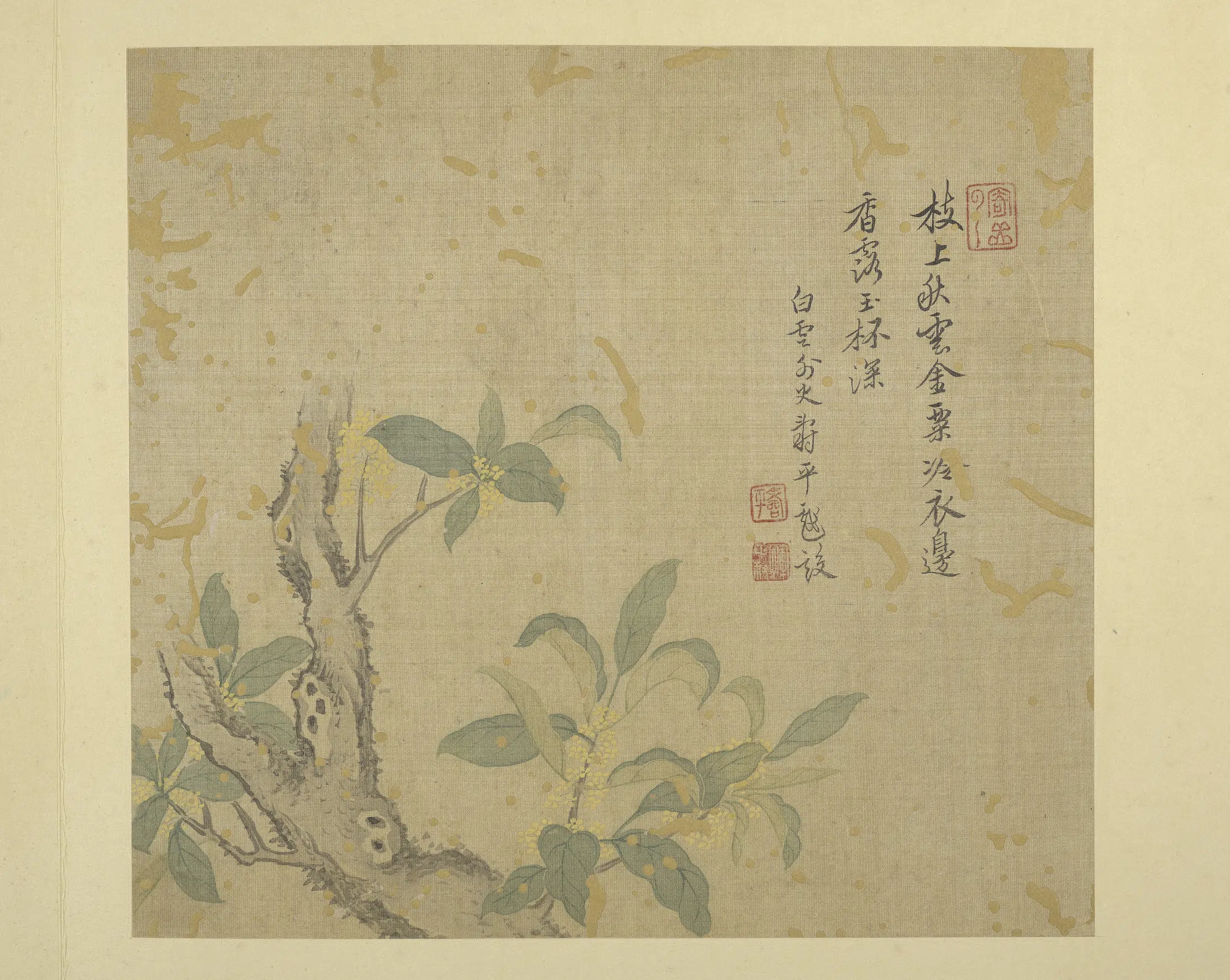 清代【恽寿平】《画花卉册-桂花》