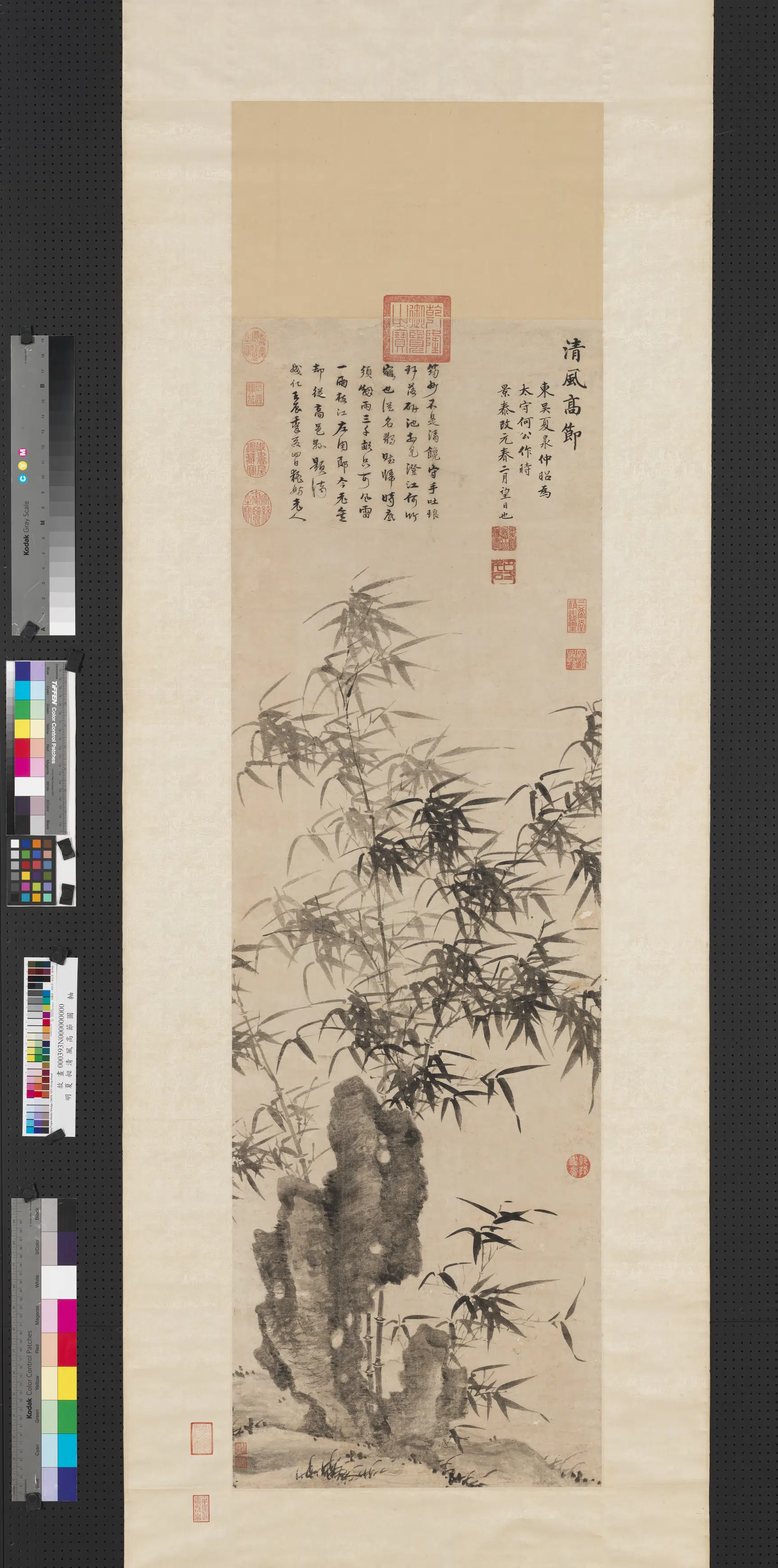 明朝【夏昶】《风高节图轴》 第1张