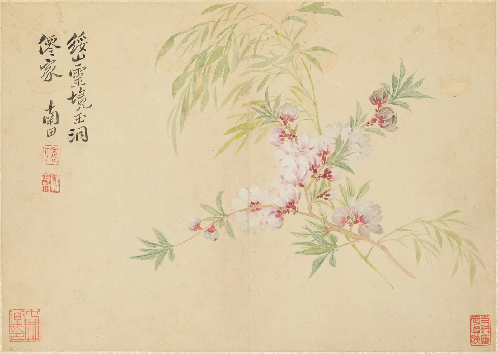 清代【恽寿平】《花果册》
