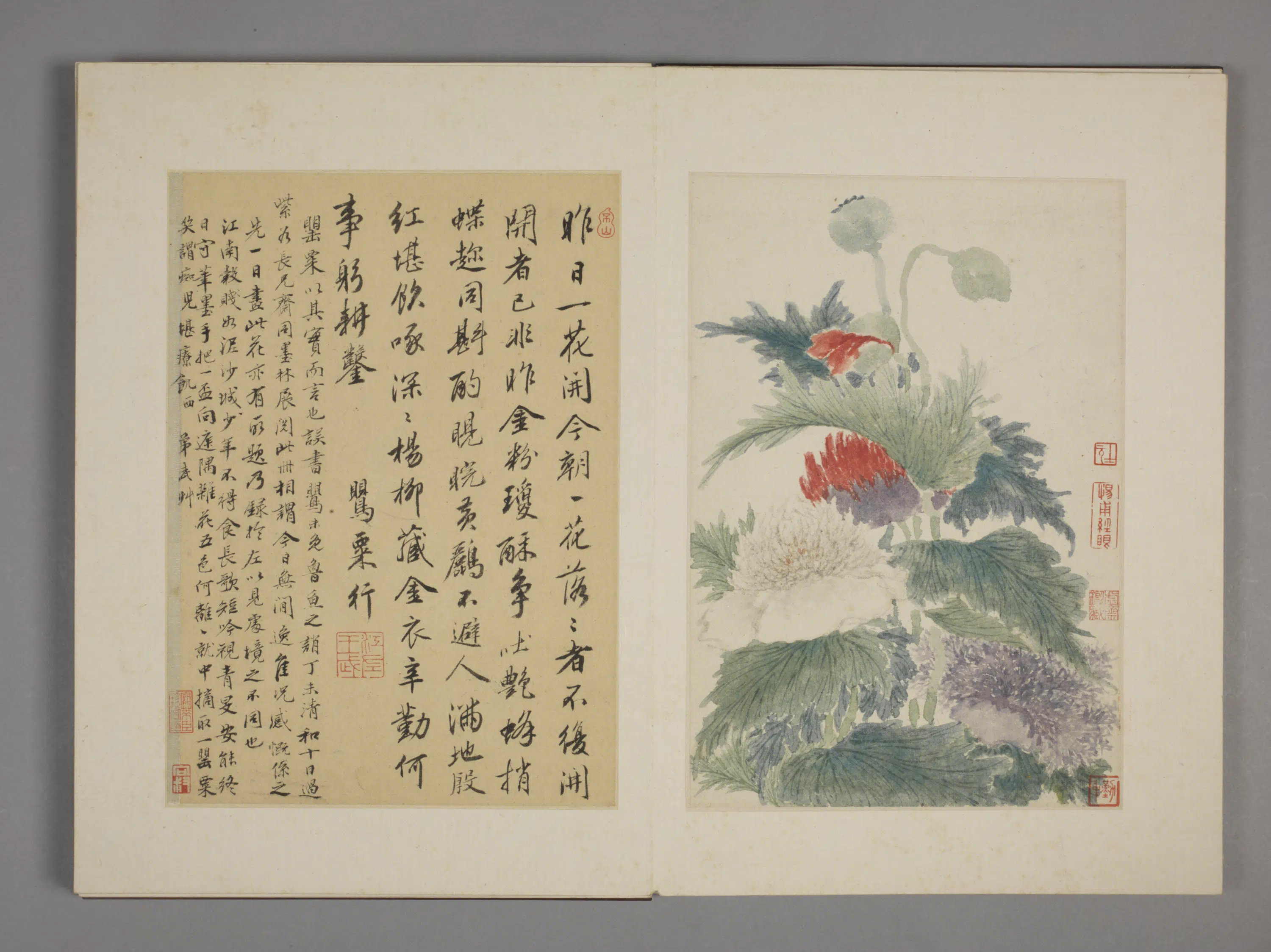清代【王武】《花卉册九开》 第7张