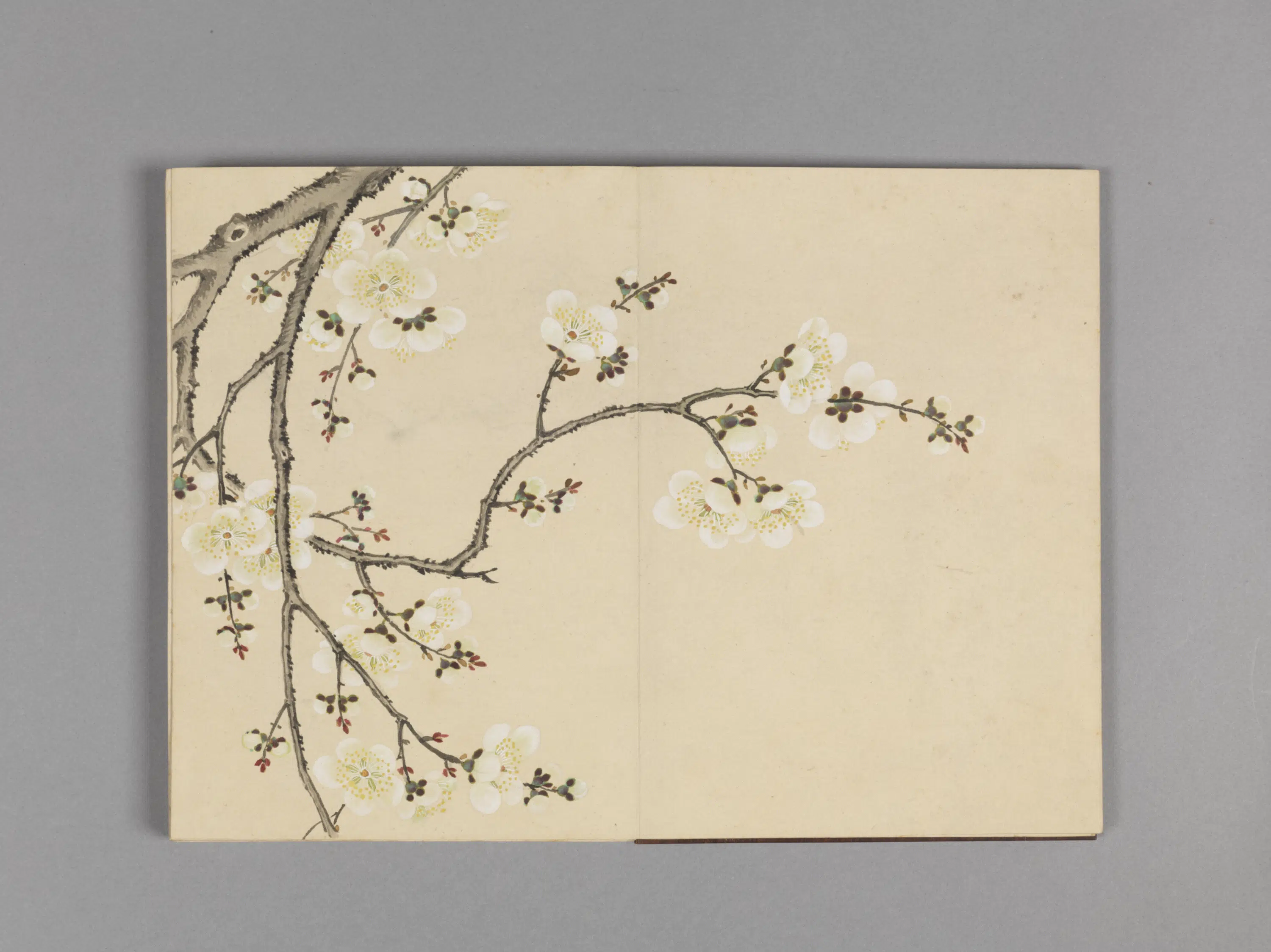 清代【董诰】《花卉小册（16开）》 第9张