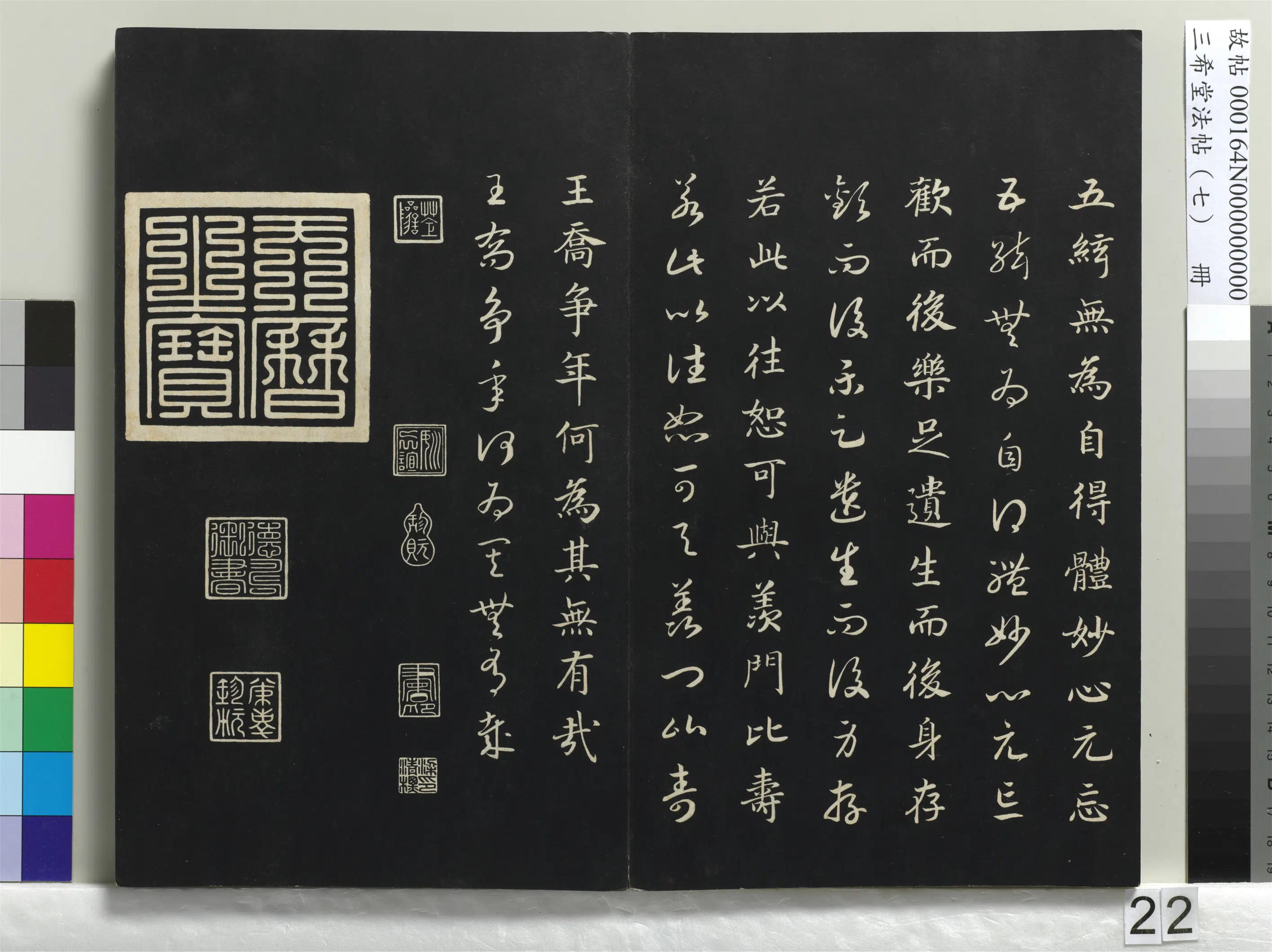 南宋【赵构-宋高宗】《三希堂法帖(七)册-宋高宗真草书嵇康养生论-1》 第13张 南宋【赵构-宋高宗】《三希堂法帖(七)册-宋高宗真草书嵇康养生论-1》 第13张
