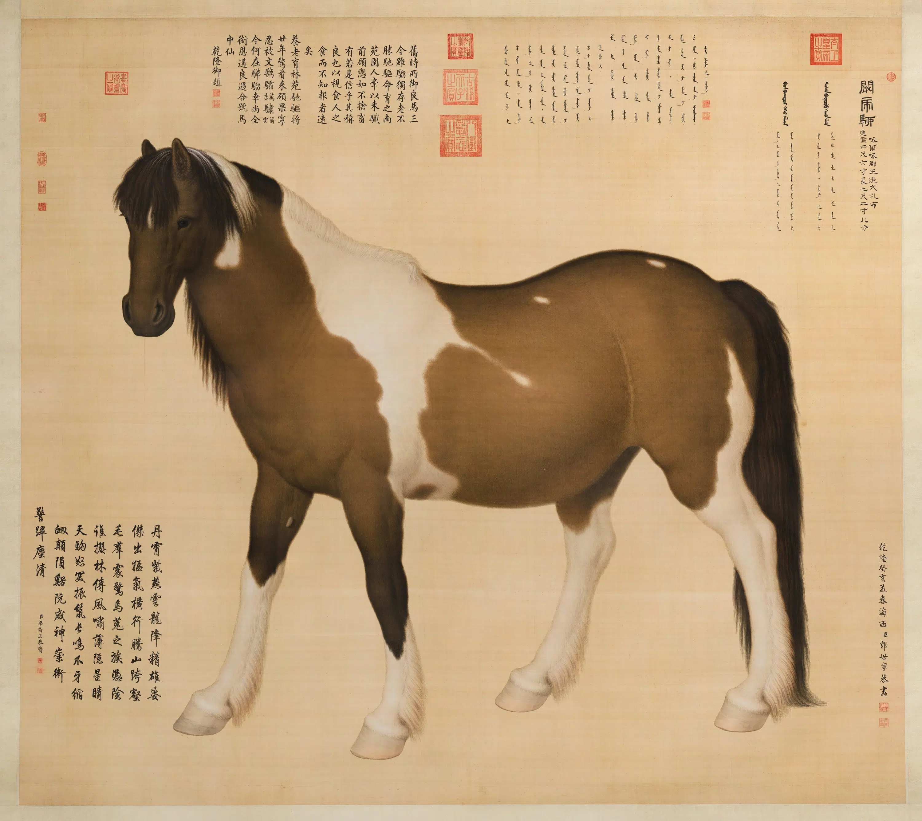 清代【郎世宁】《阚虎骝轴》