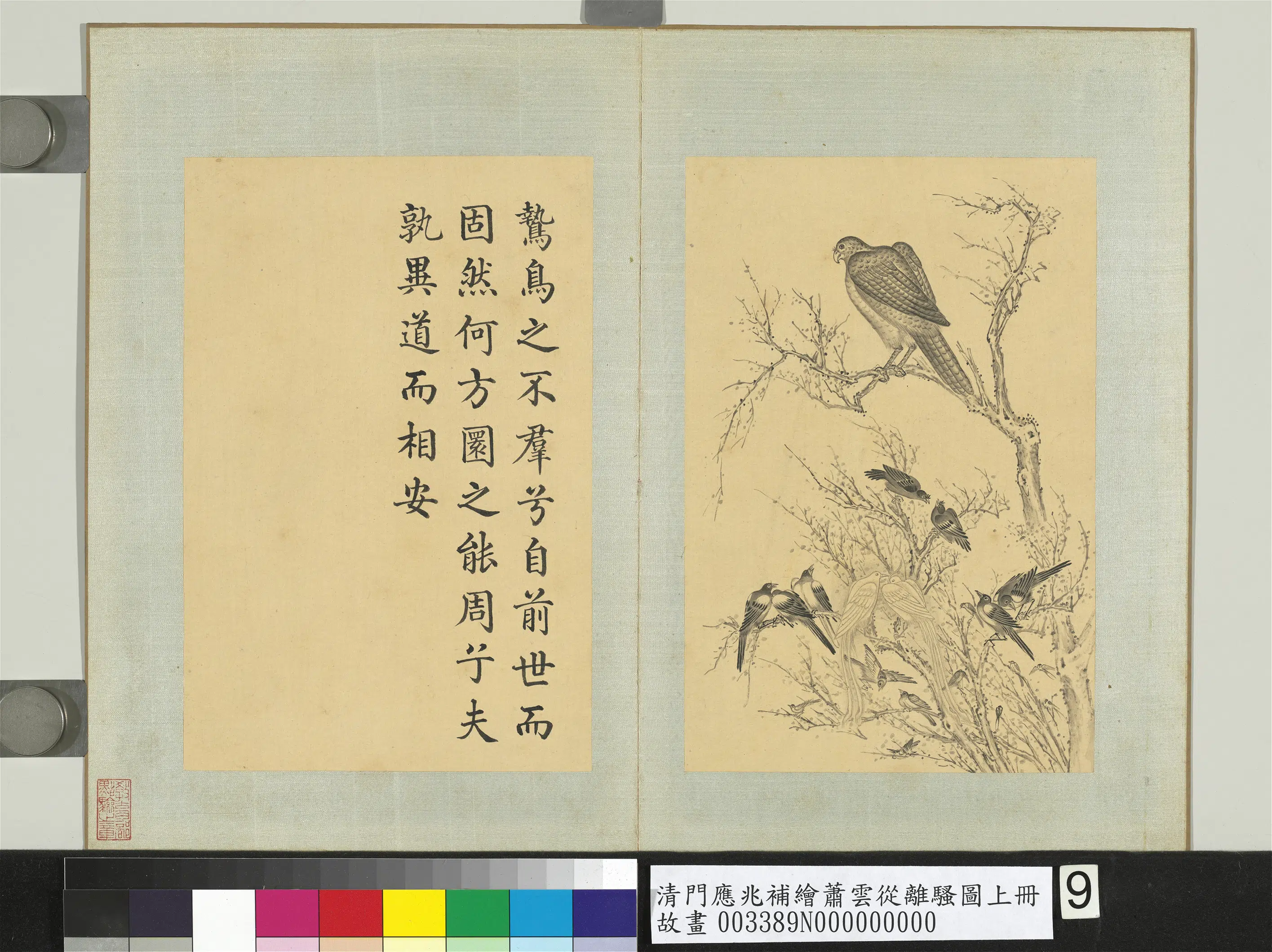 清代【门应兆】《补绘萧云从离骚图上册-鸷鸟不群异道相安》