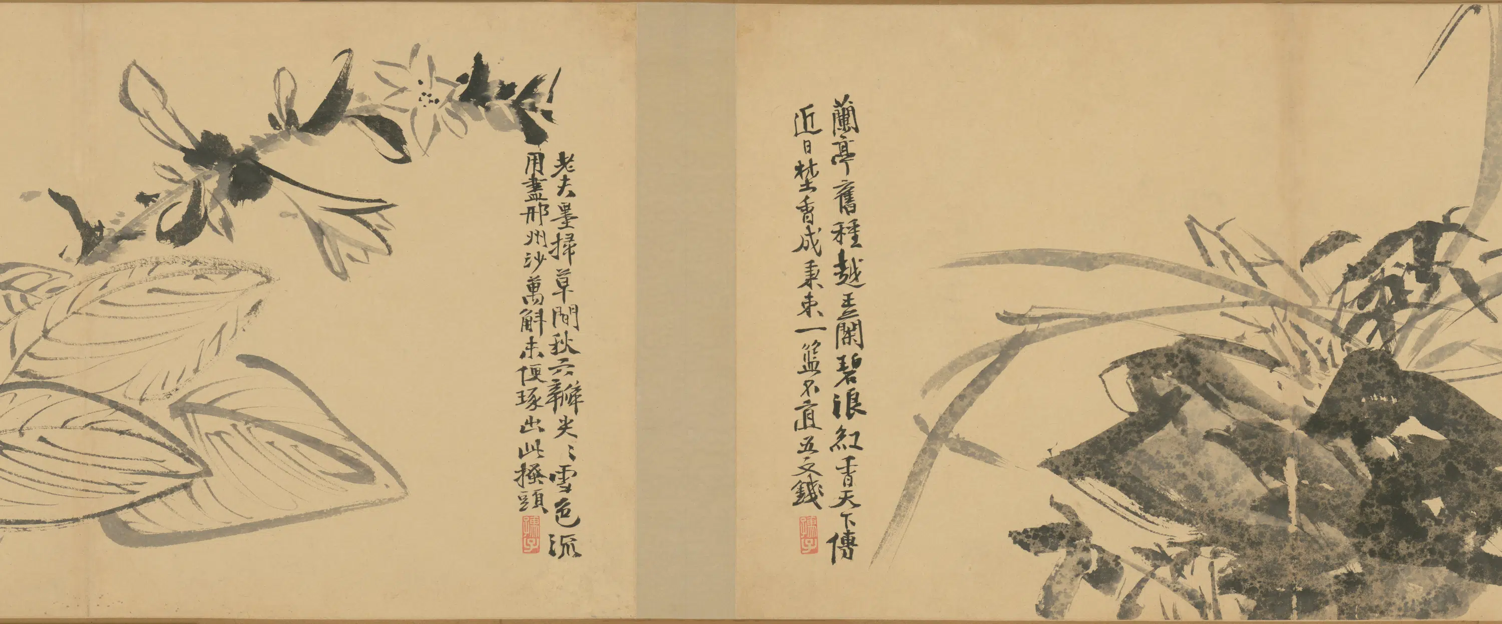明朝【徐渭】《墨花卷》 第25张